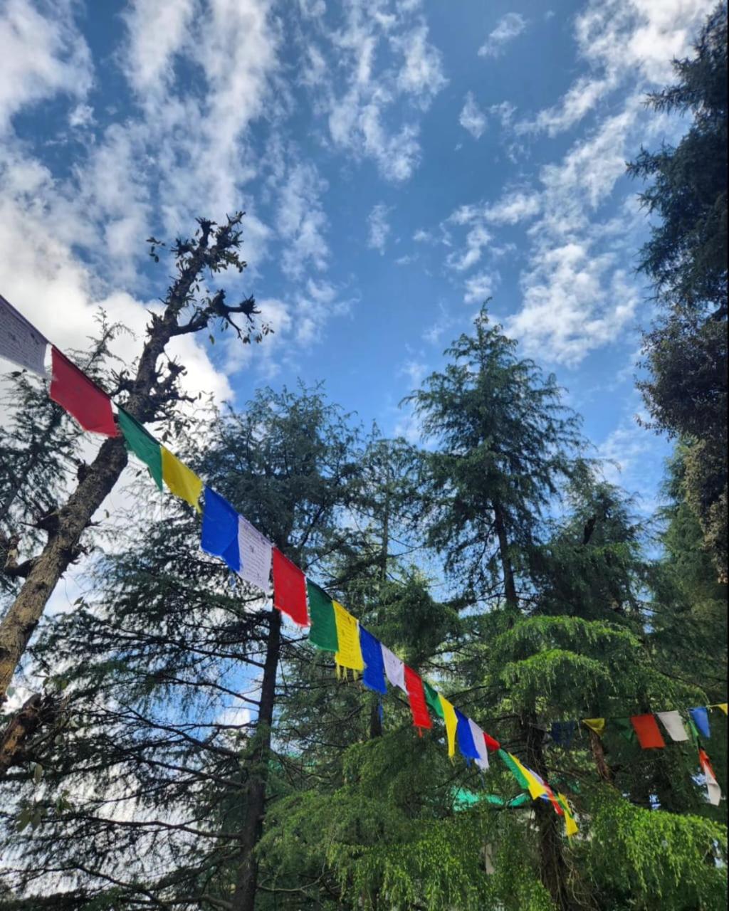 Thrillomania Mcleodganj