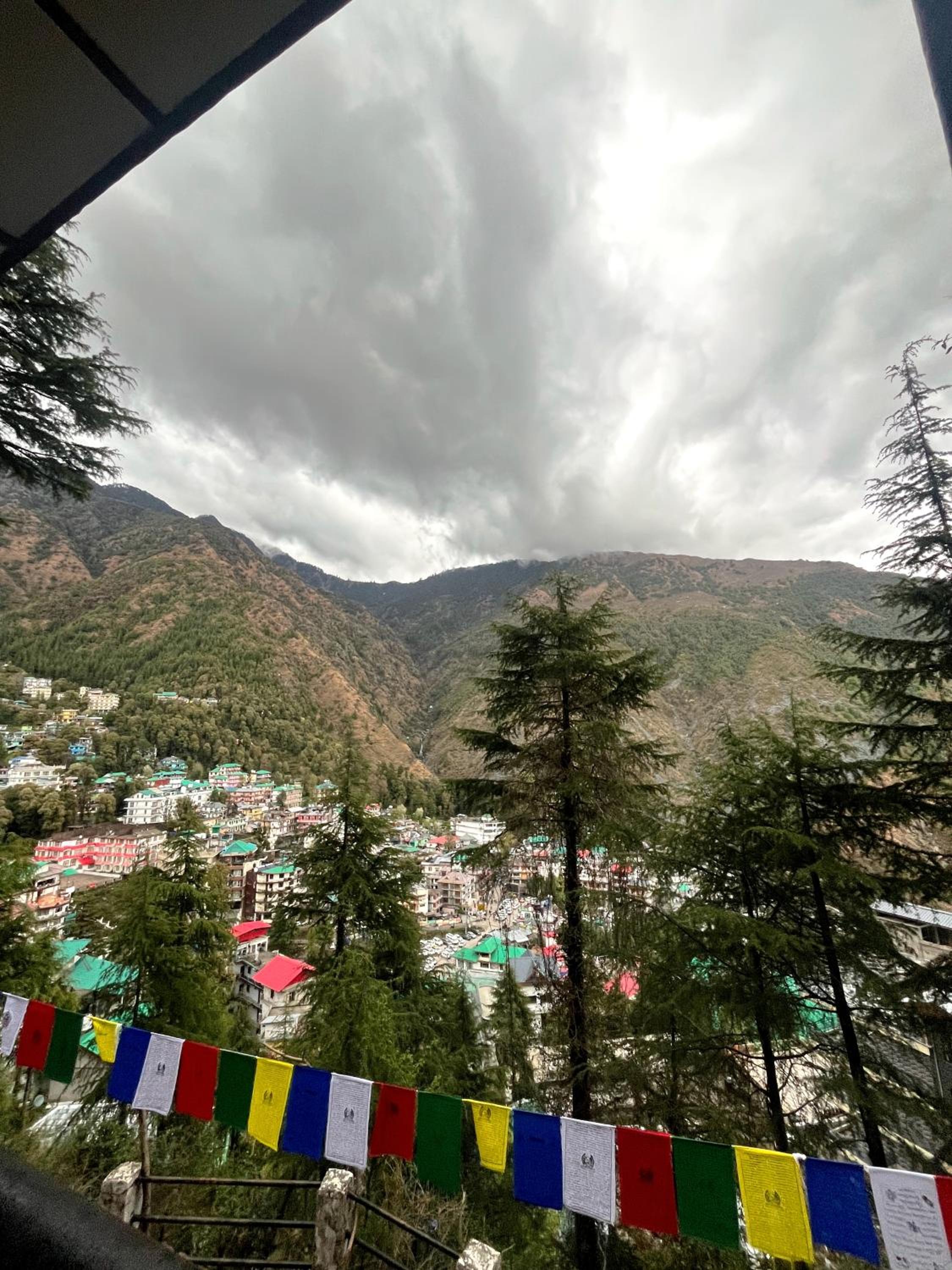 Thrillomania Mcleodganj