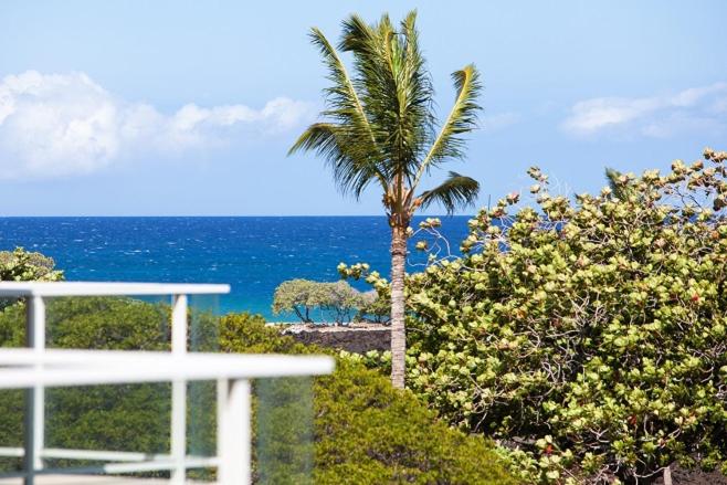 A304 Vista Waikoloa view 5