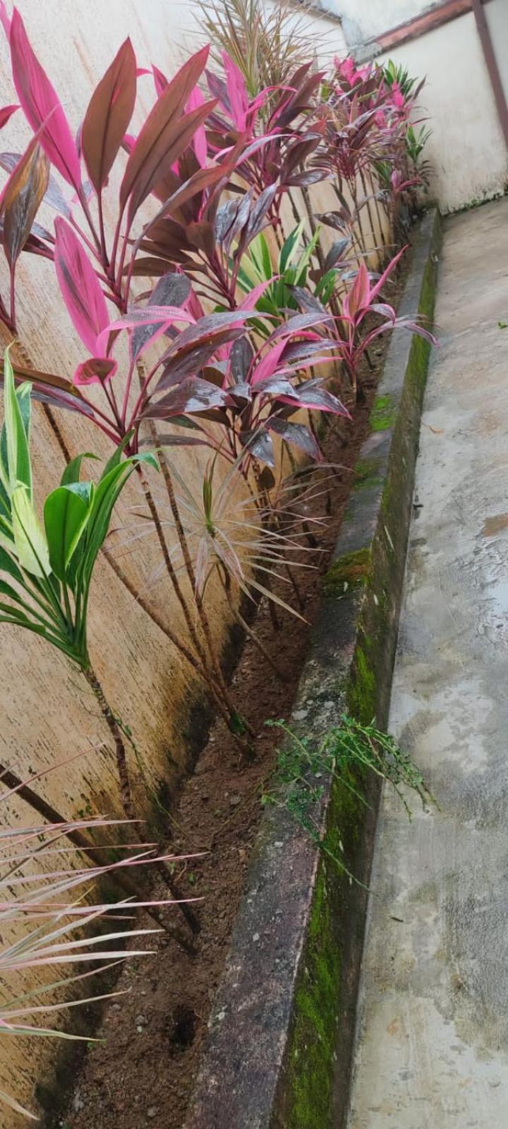 Casa em condômino, com piscina, próxima à serra e ao mar