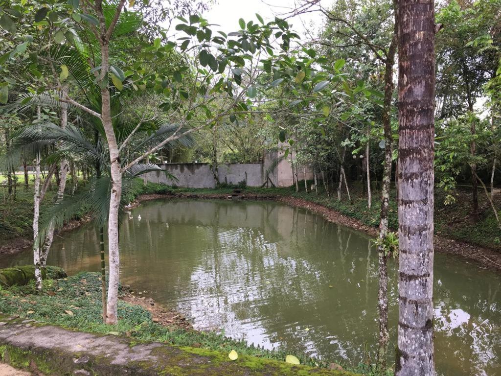 Casa em condômino, com piscina, próxima à serra e ao mar