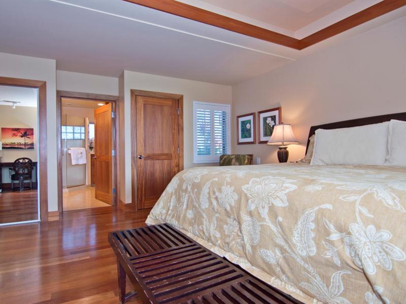 D101 Vista Waikoloa view 5