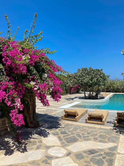 Amaryl Seaside Residence