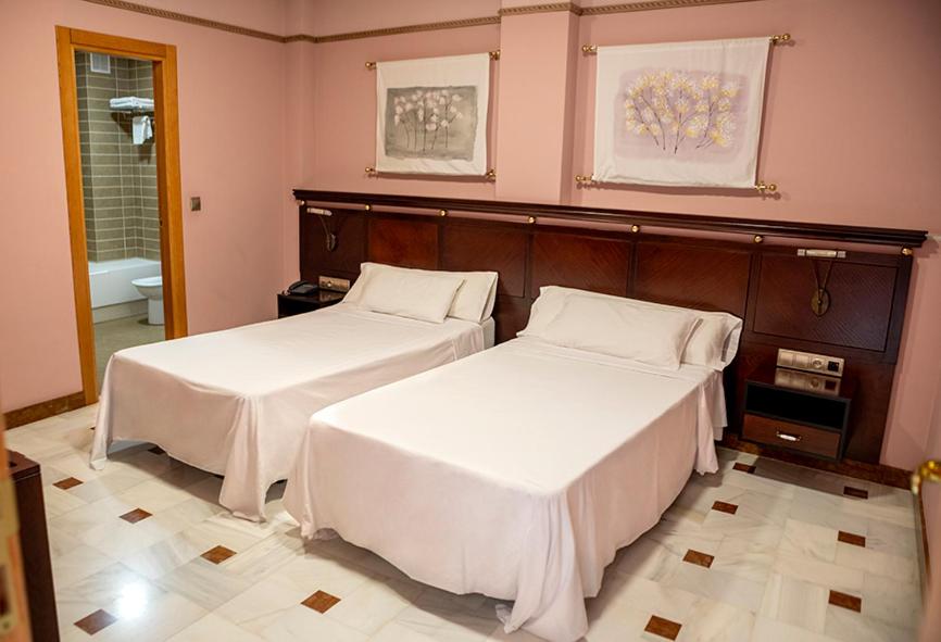 Hotel Don Miguel Plaza