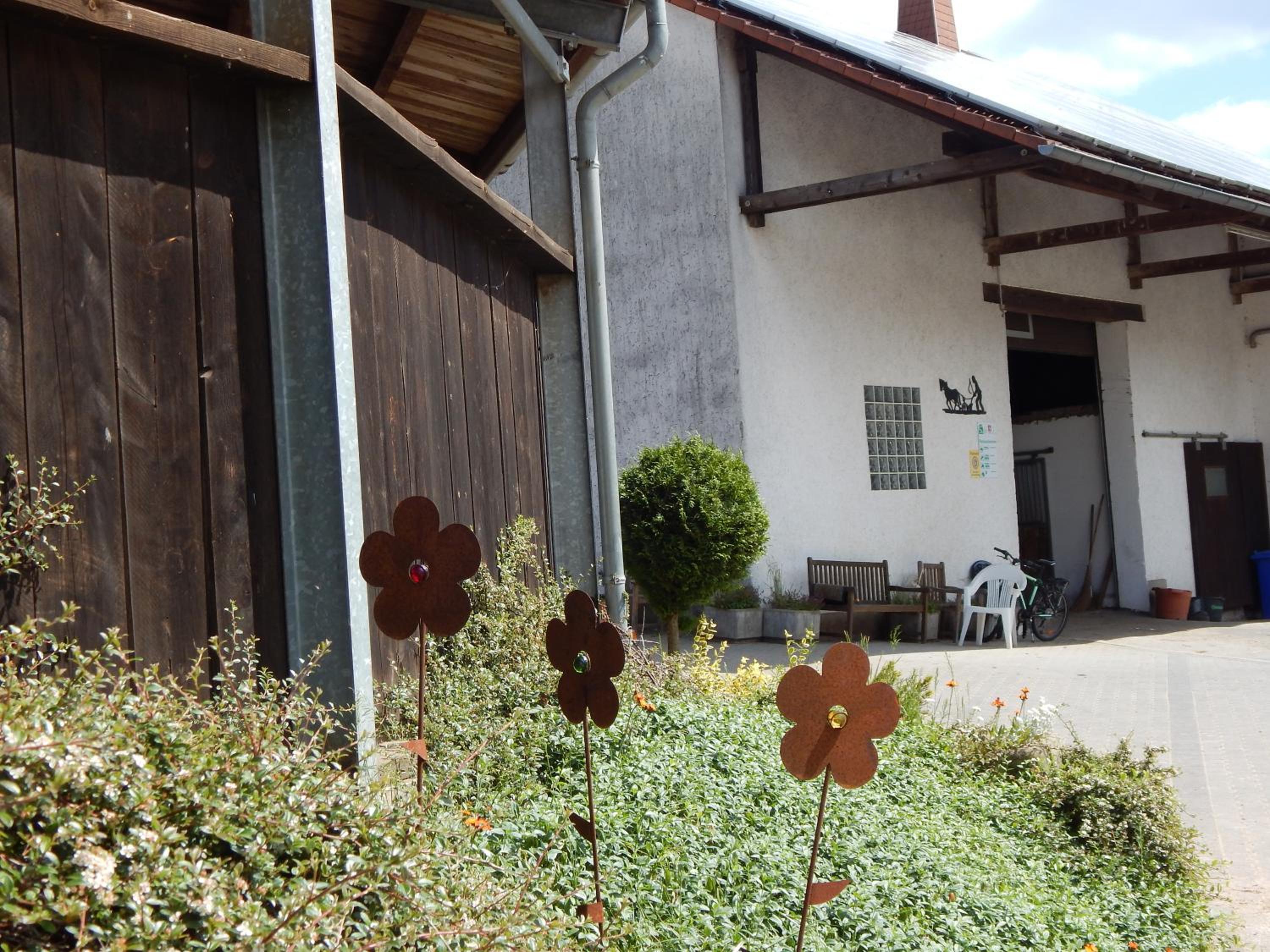 Reiter- und Ferienhof Redder, photo 21