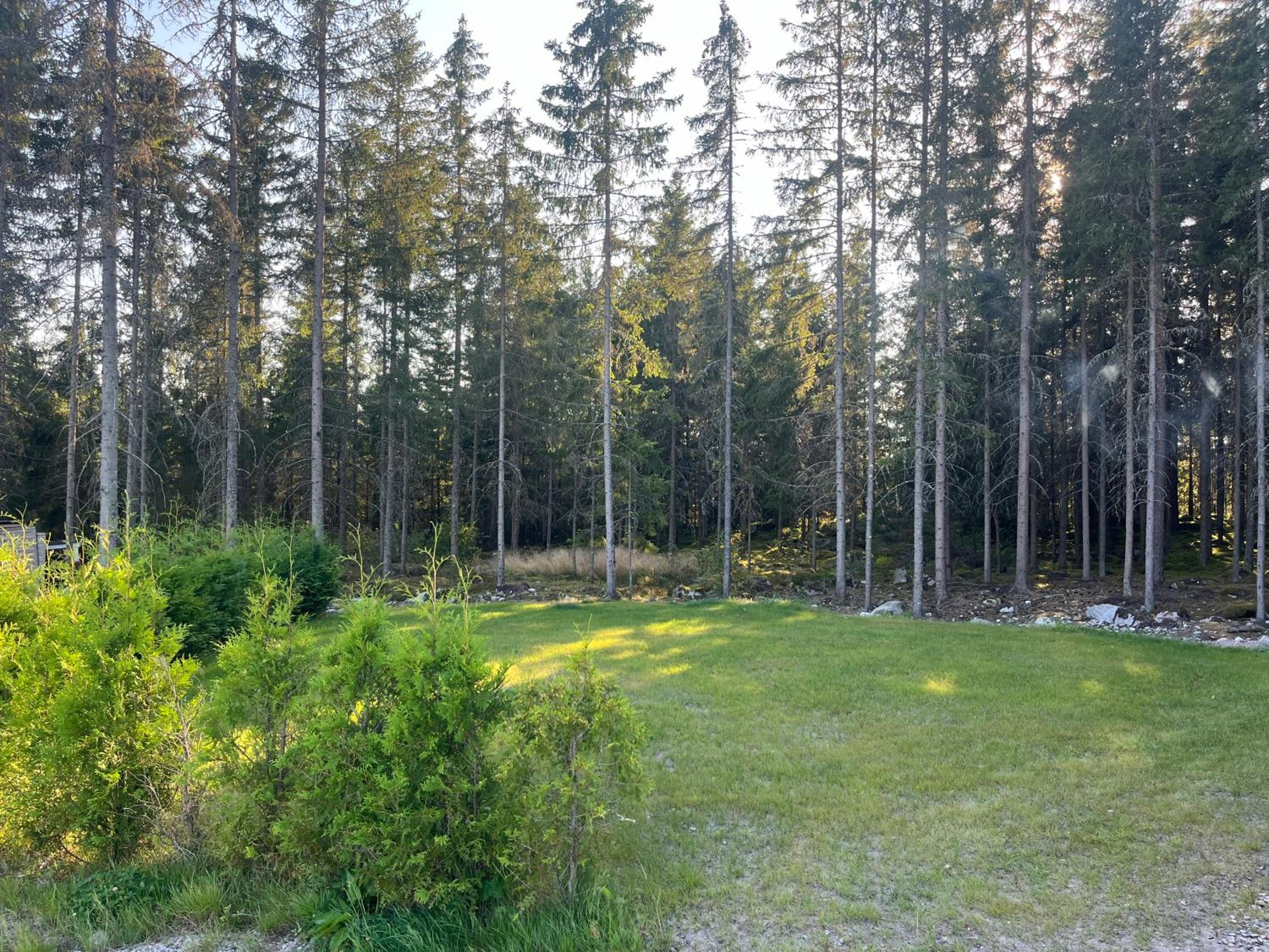 Gäststuga 100m från sjön view 2