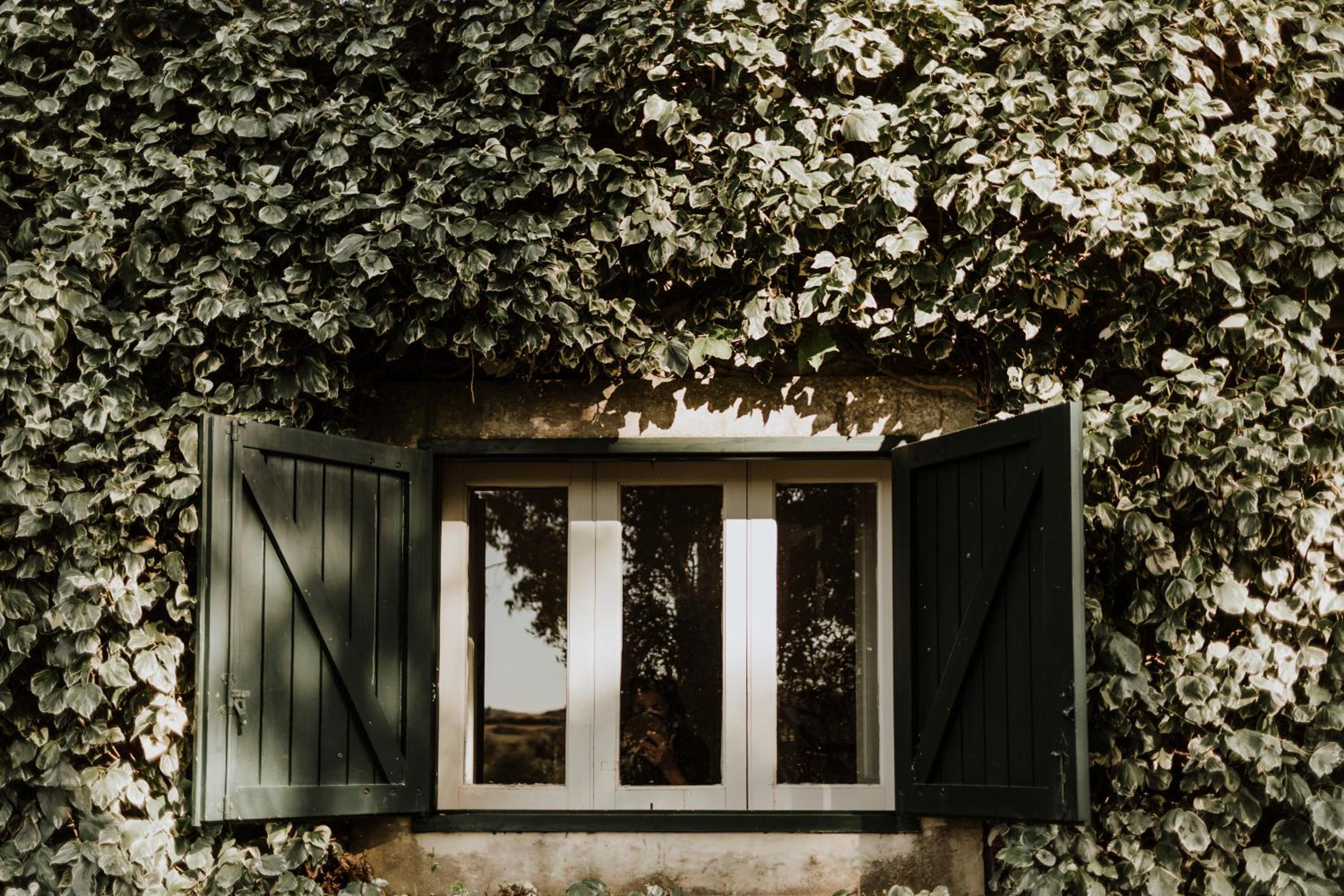 Bibbia- Tenuta di Campagna