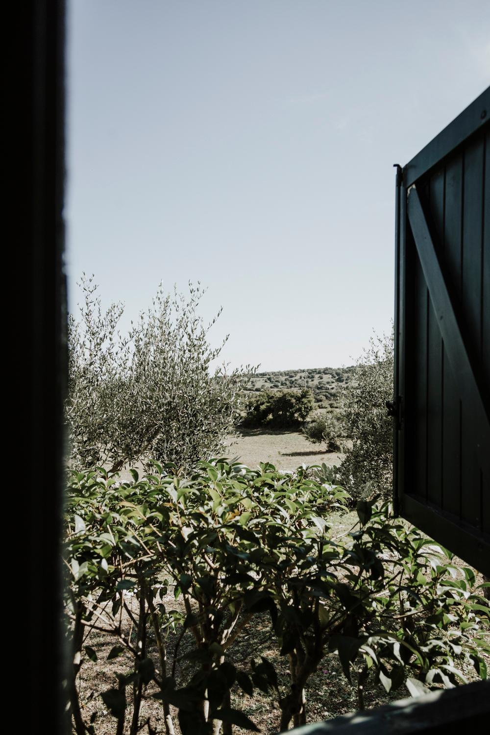 Bibbia- Tenuta di Campagna
