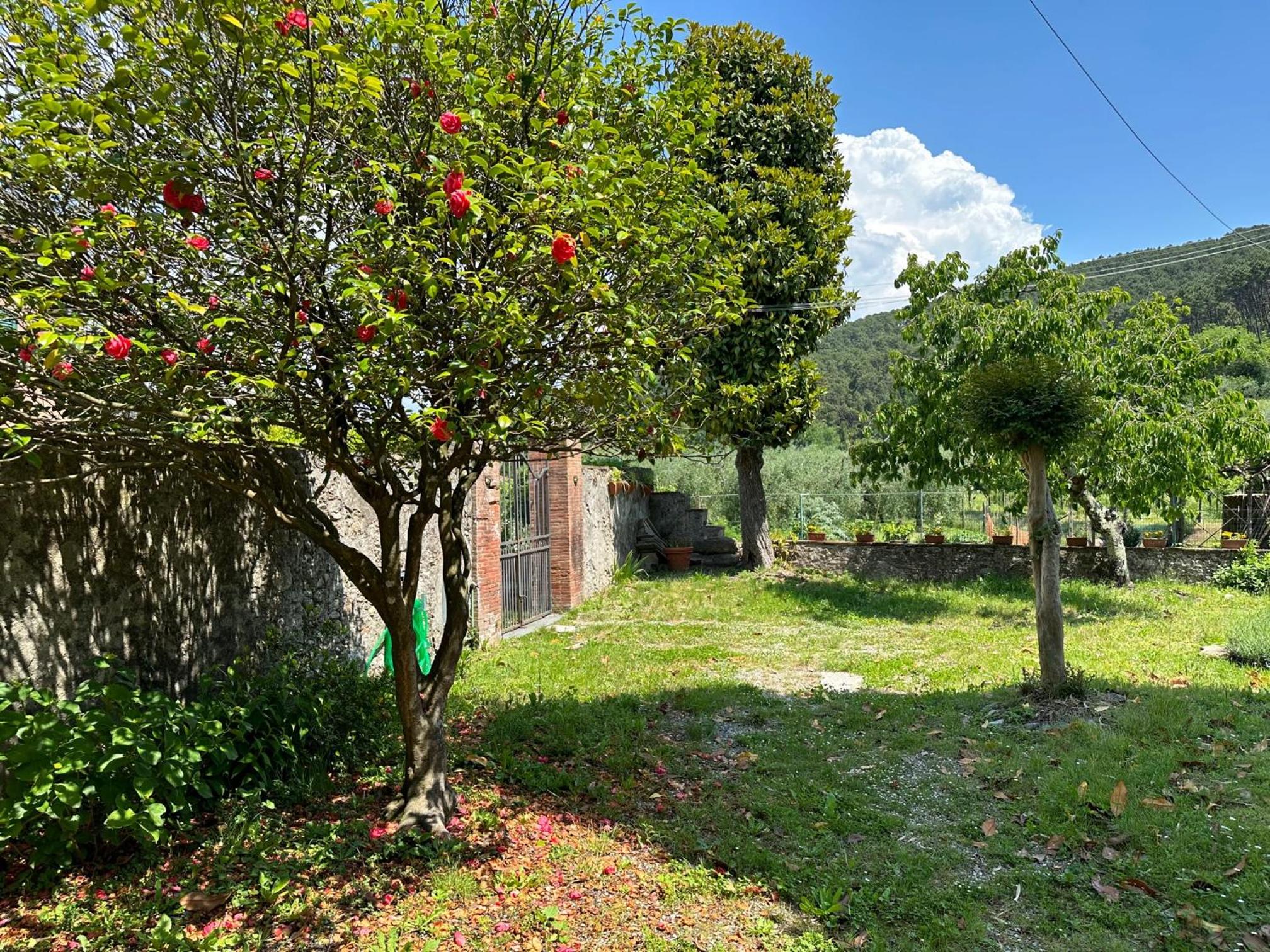 Tuscany Charme Coselli Restored