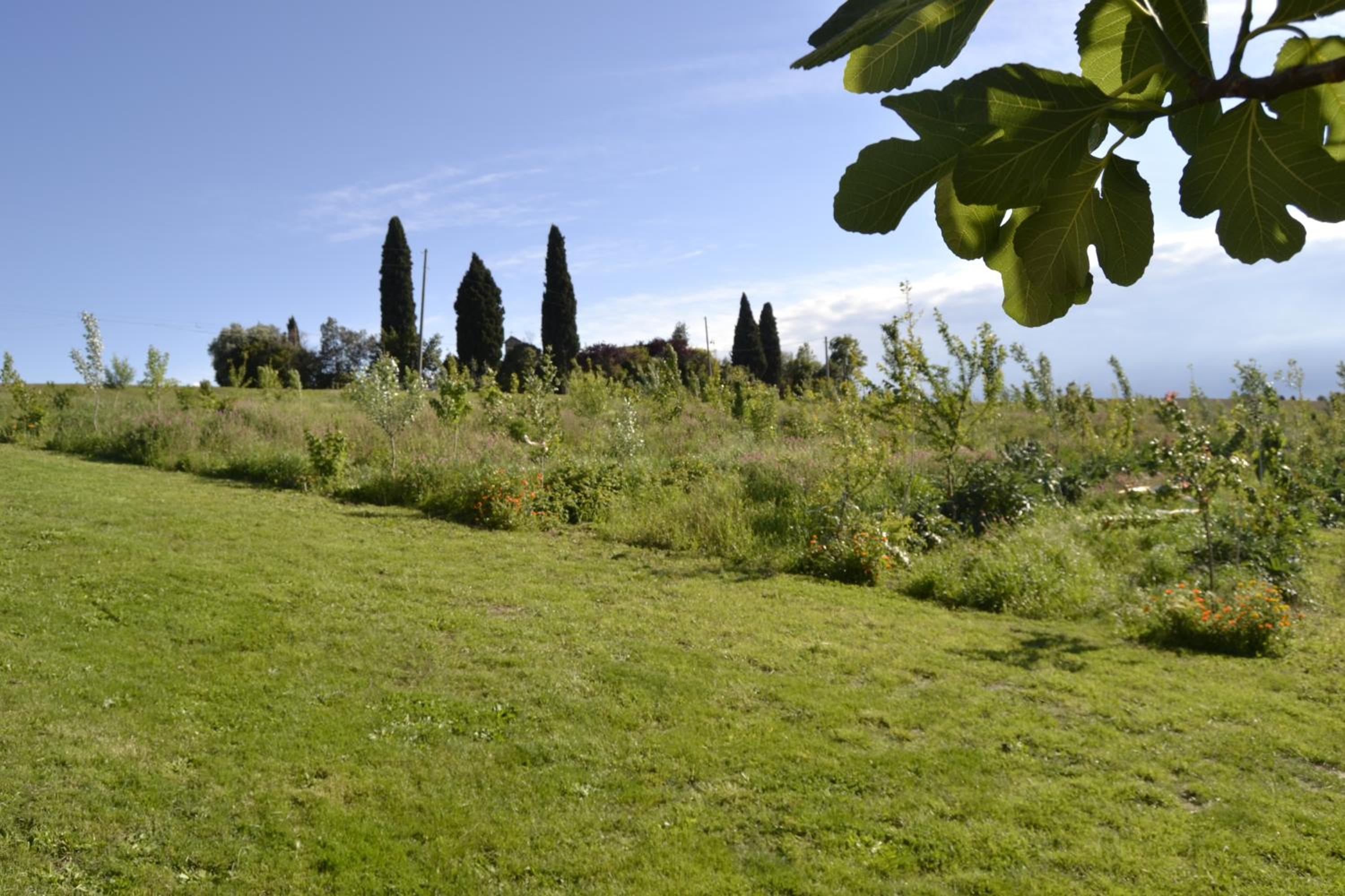 Agriturismo Boschetto