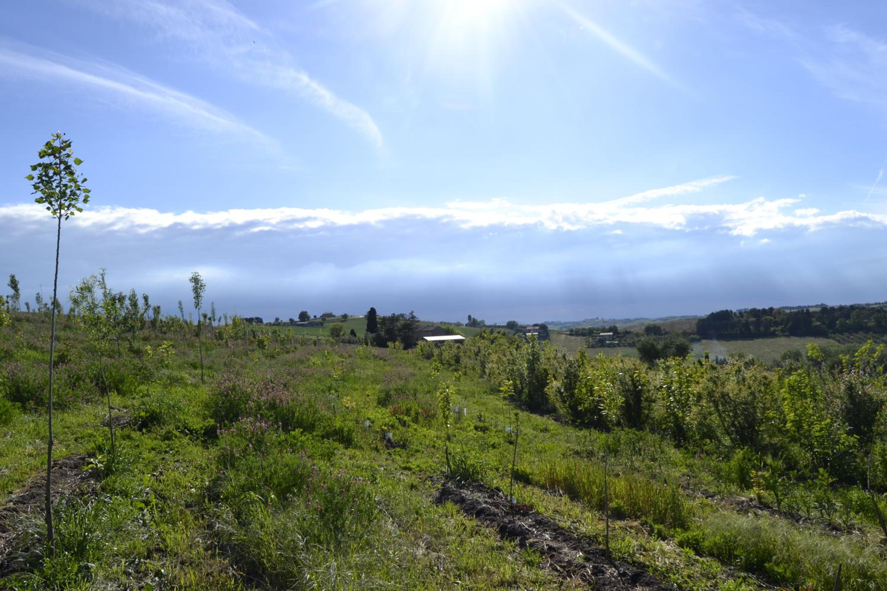 Agriturismo Boschetto