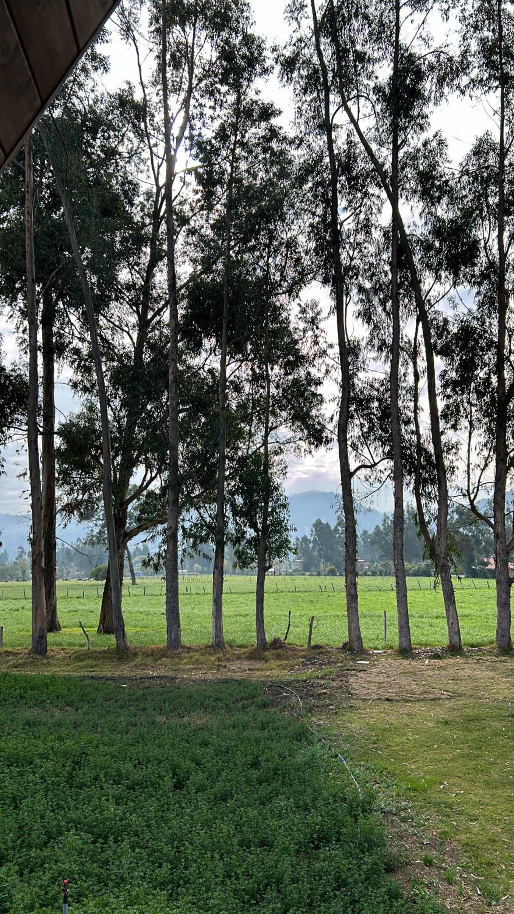Alojamiento en Cajamarca Cabañas a 10 min del centro