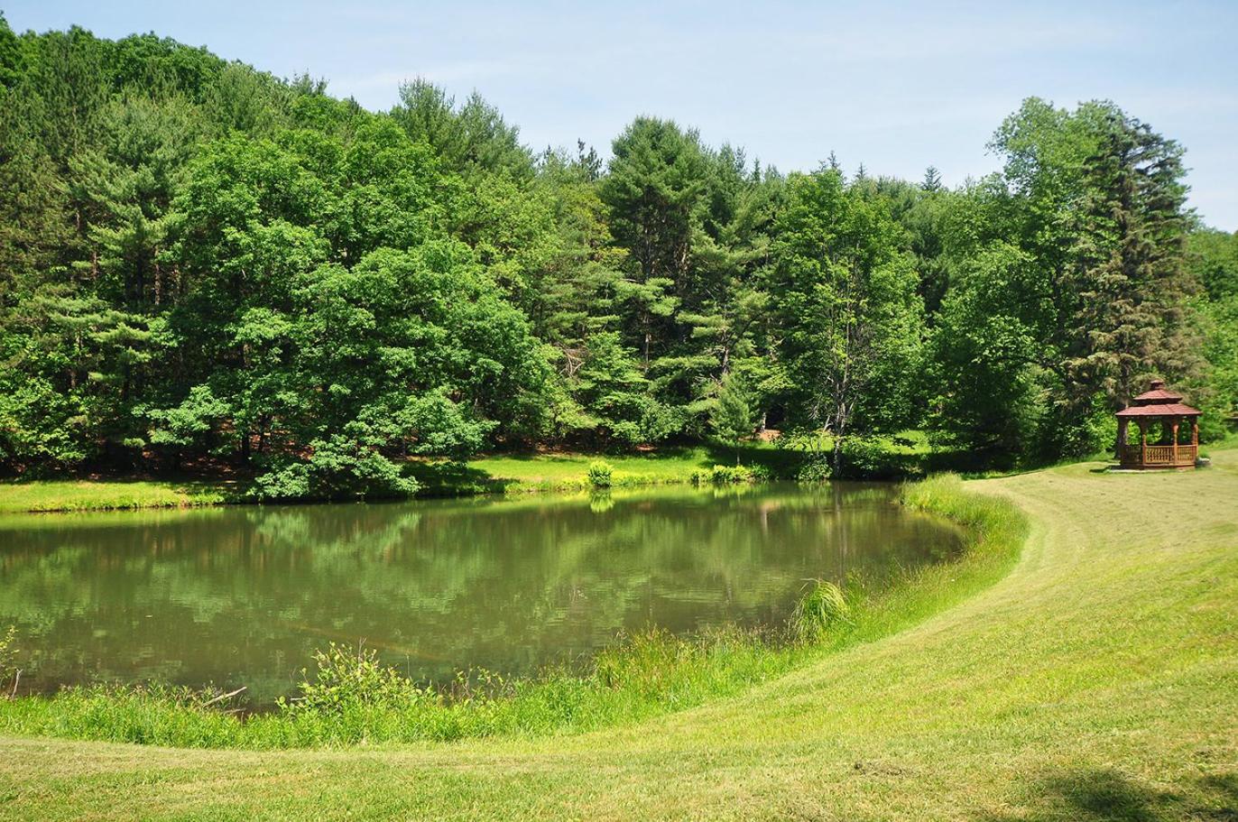 Coopers Landing