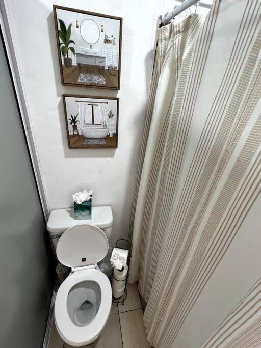 Photo 42