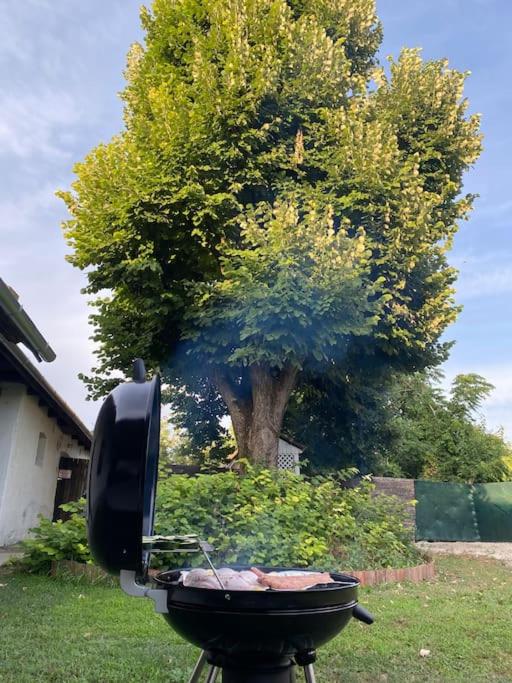 HÁRS meg az alja view 5