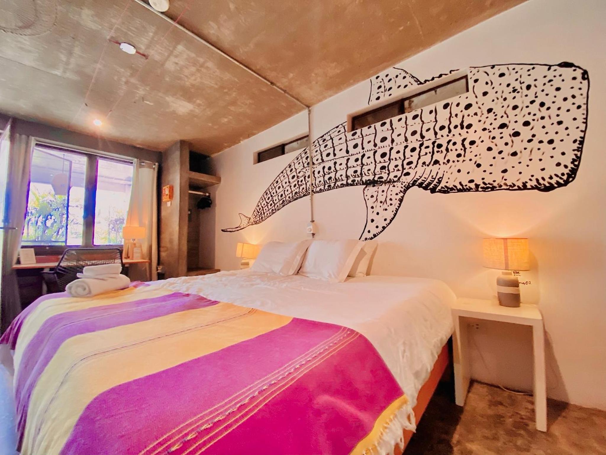 Outsite Todos Santos