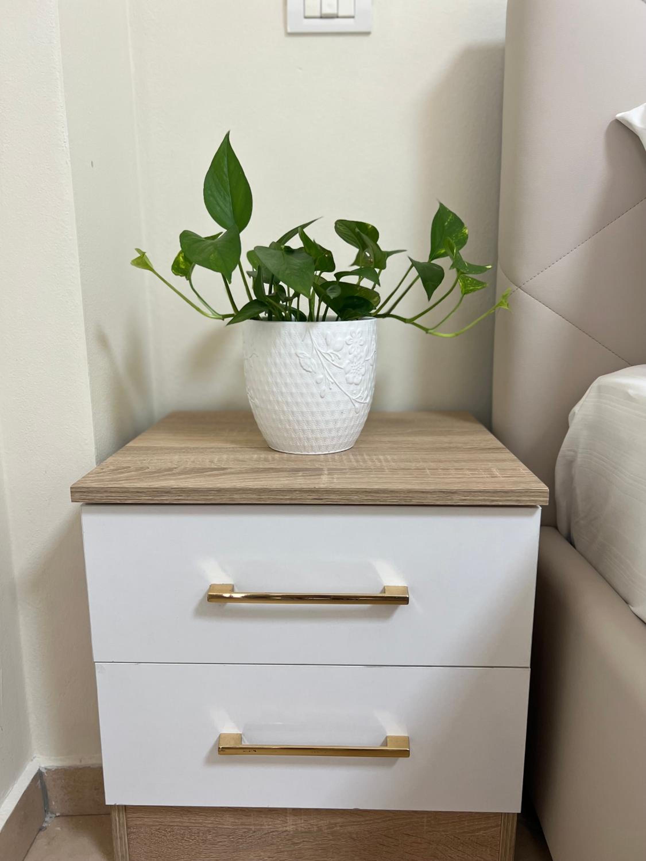 Cozy Studio Apartment in Vlore