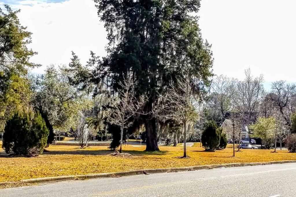 Charming 2 Bedroom Suite in Cloverdale District view 4
