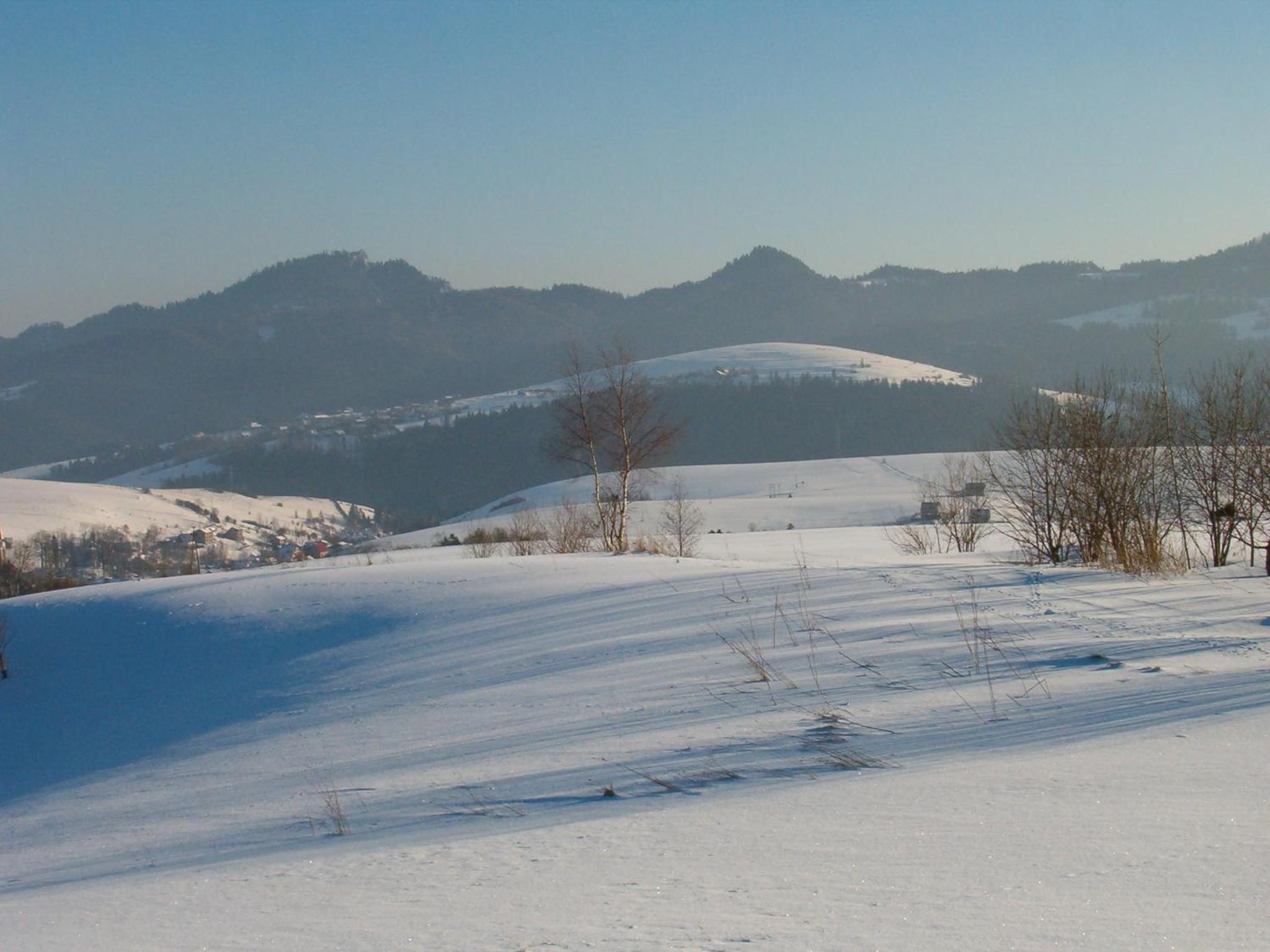 Photo 50