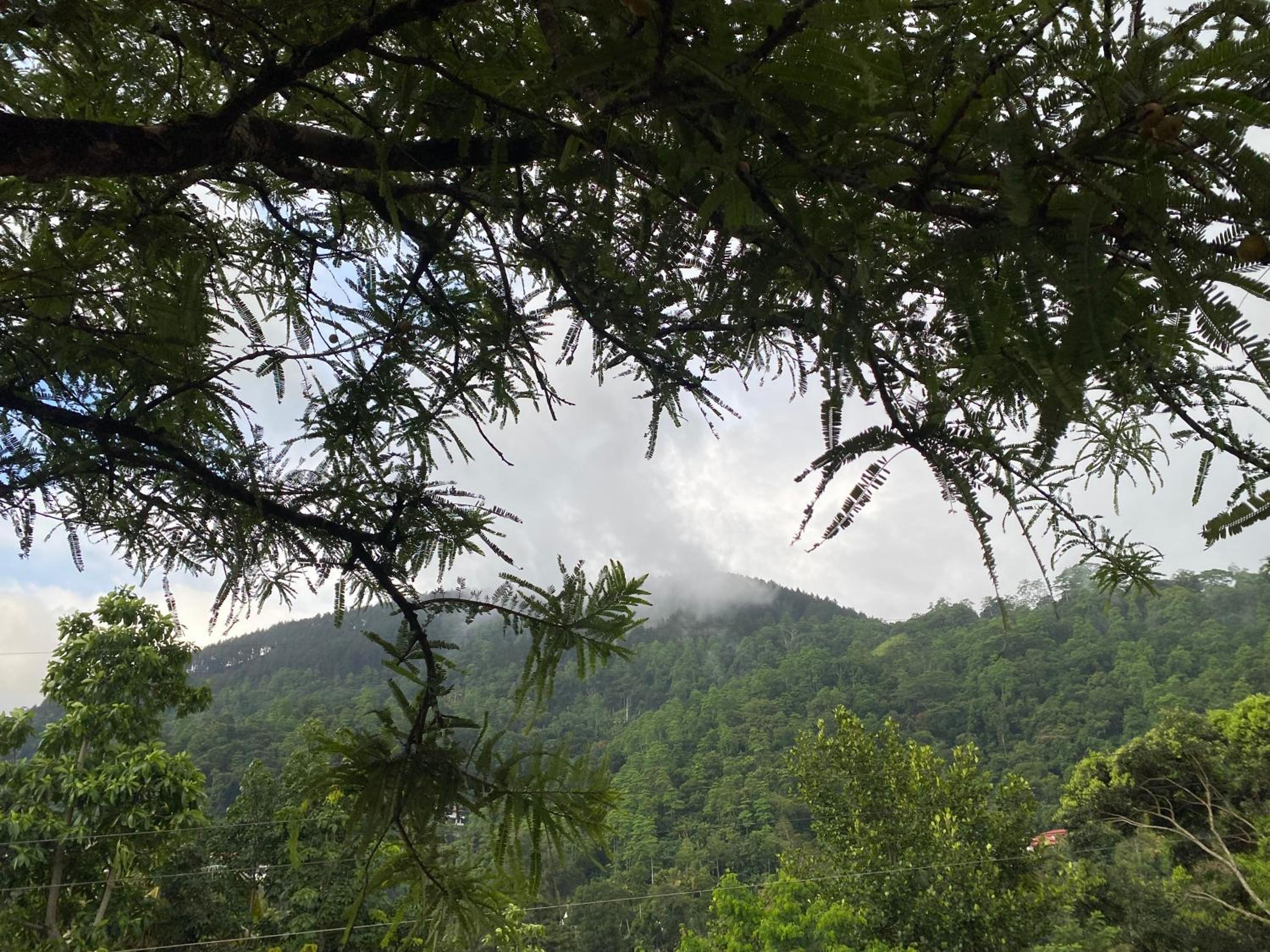 Hilltop Heaven