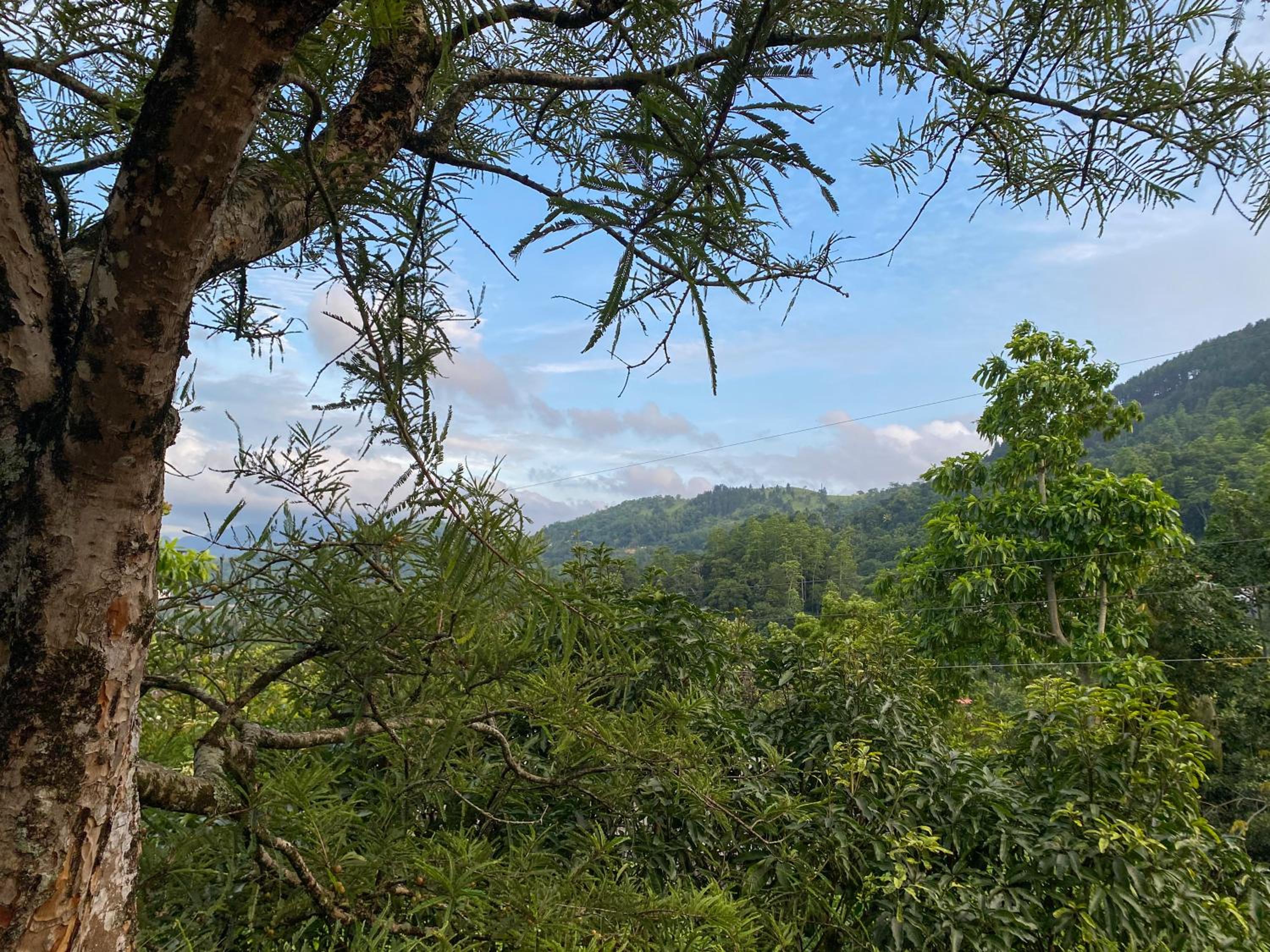 Hilltop Heaven