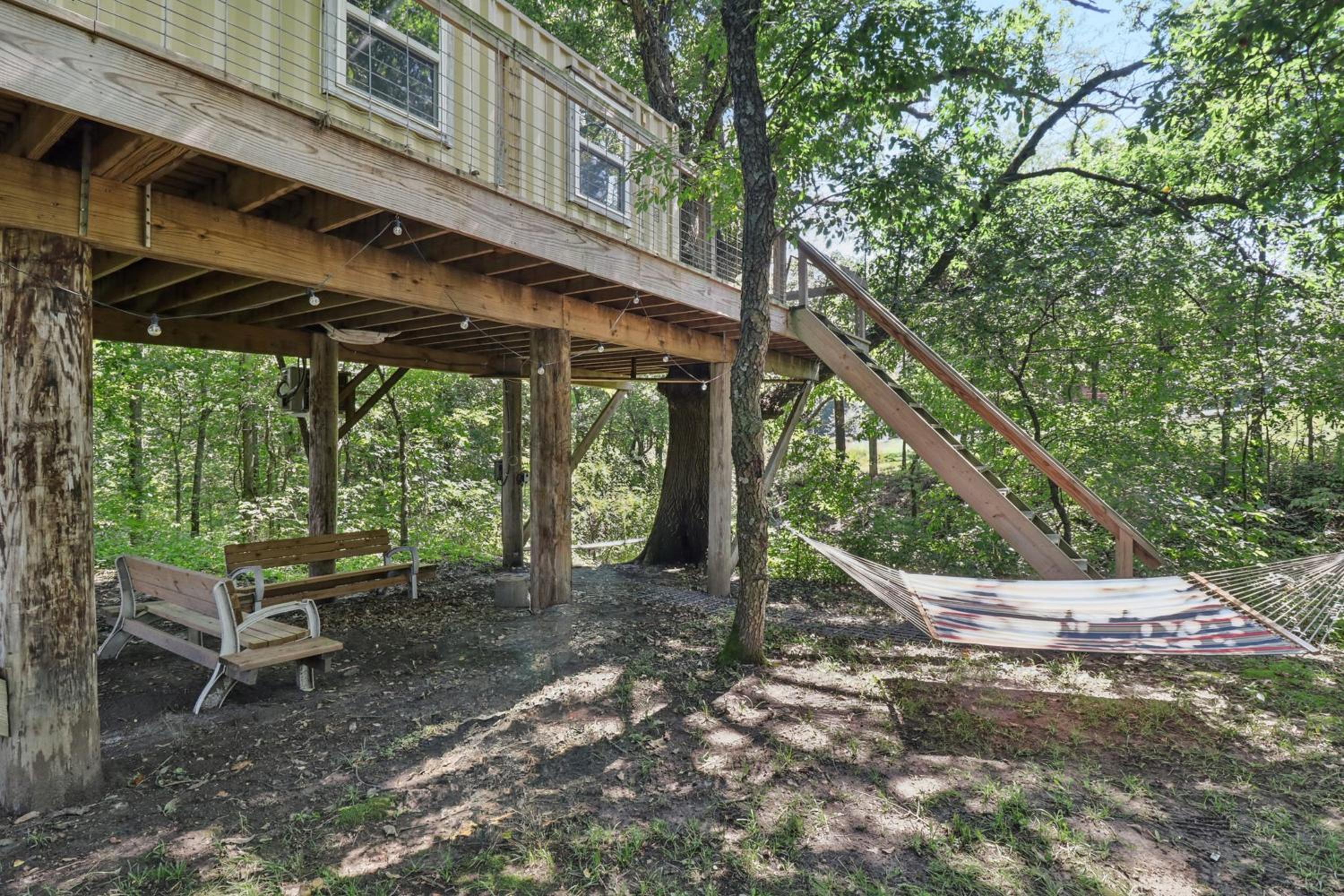 Fishing Pond and Treehouse Tranquil Maysville Cabin