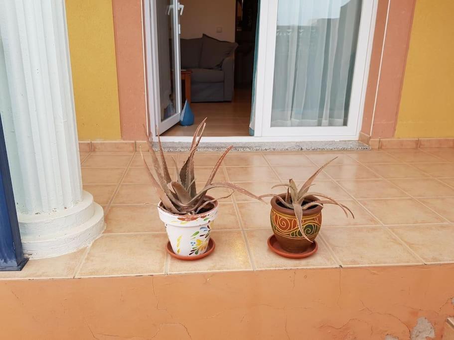 Apartamento Dam