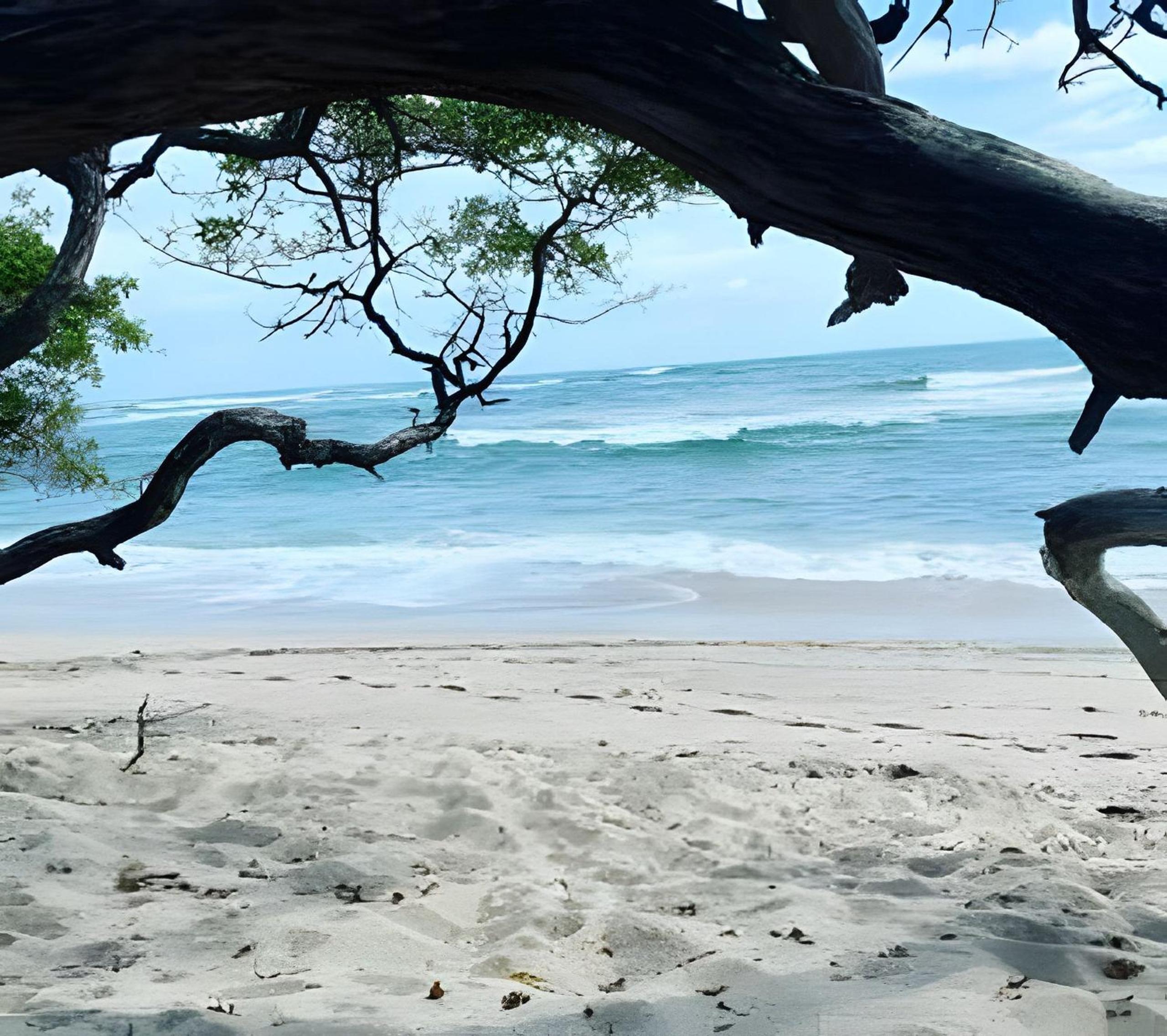 Minutes away to the beach ¨Playa Blanca¨
