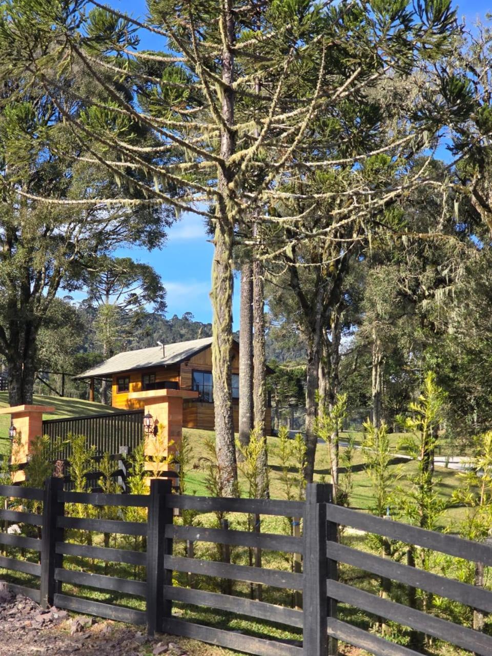 Pousada Pinha Pinhão Excluisive