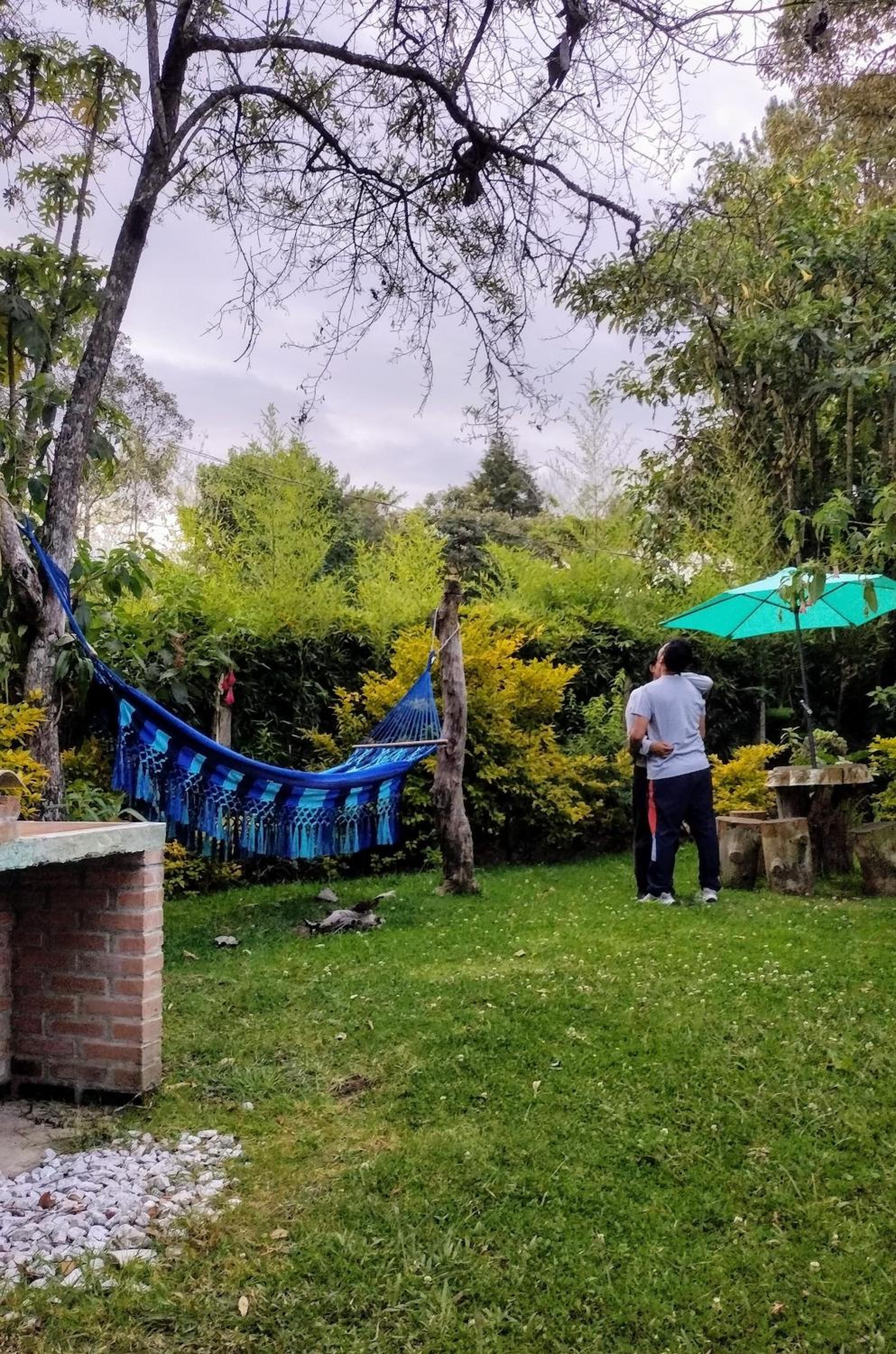 El bosque de las Hadas I (Cabaña Jade)