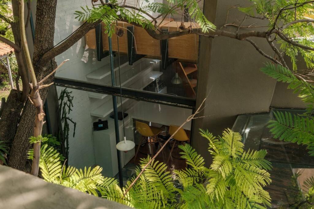 Architect house with rooftop in San Miguel Centro by VIATO