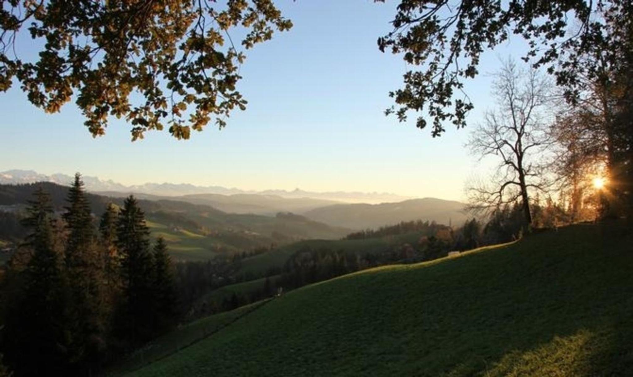 Bauern-Spycher