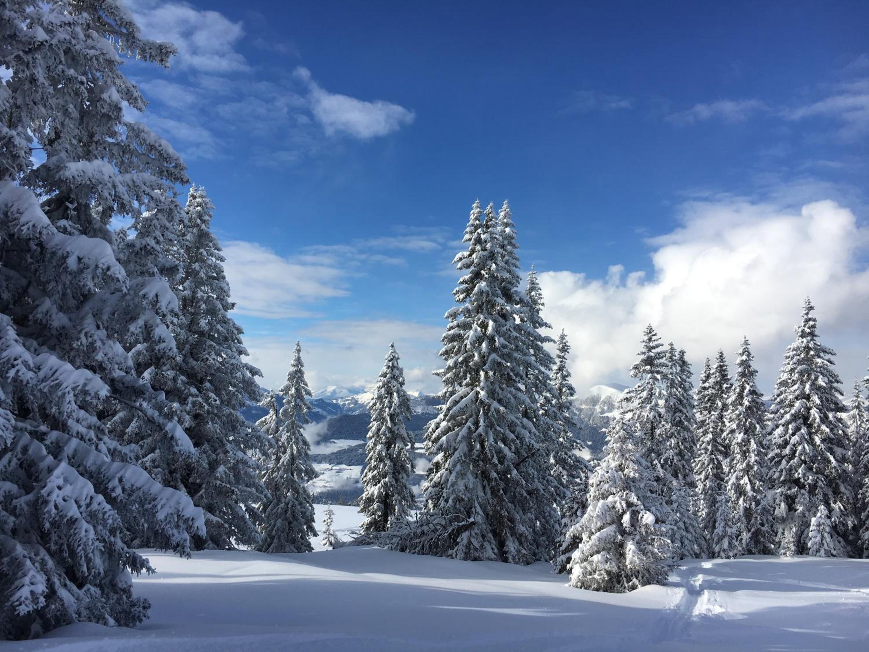 Panorama Almhütte Nockberge