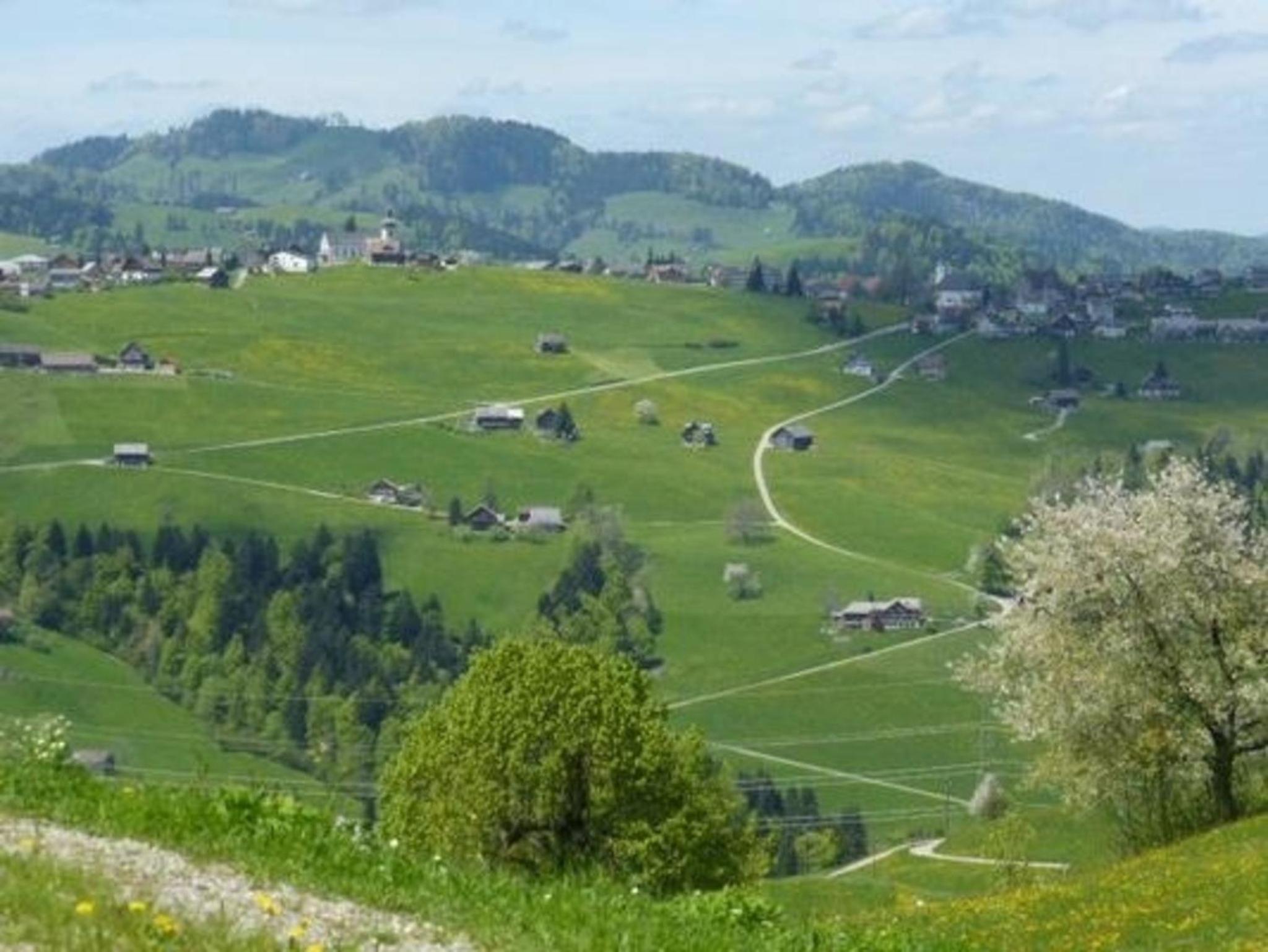Ferienhof-Barenegg