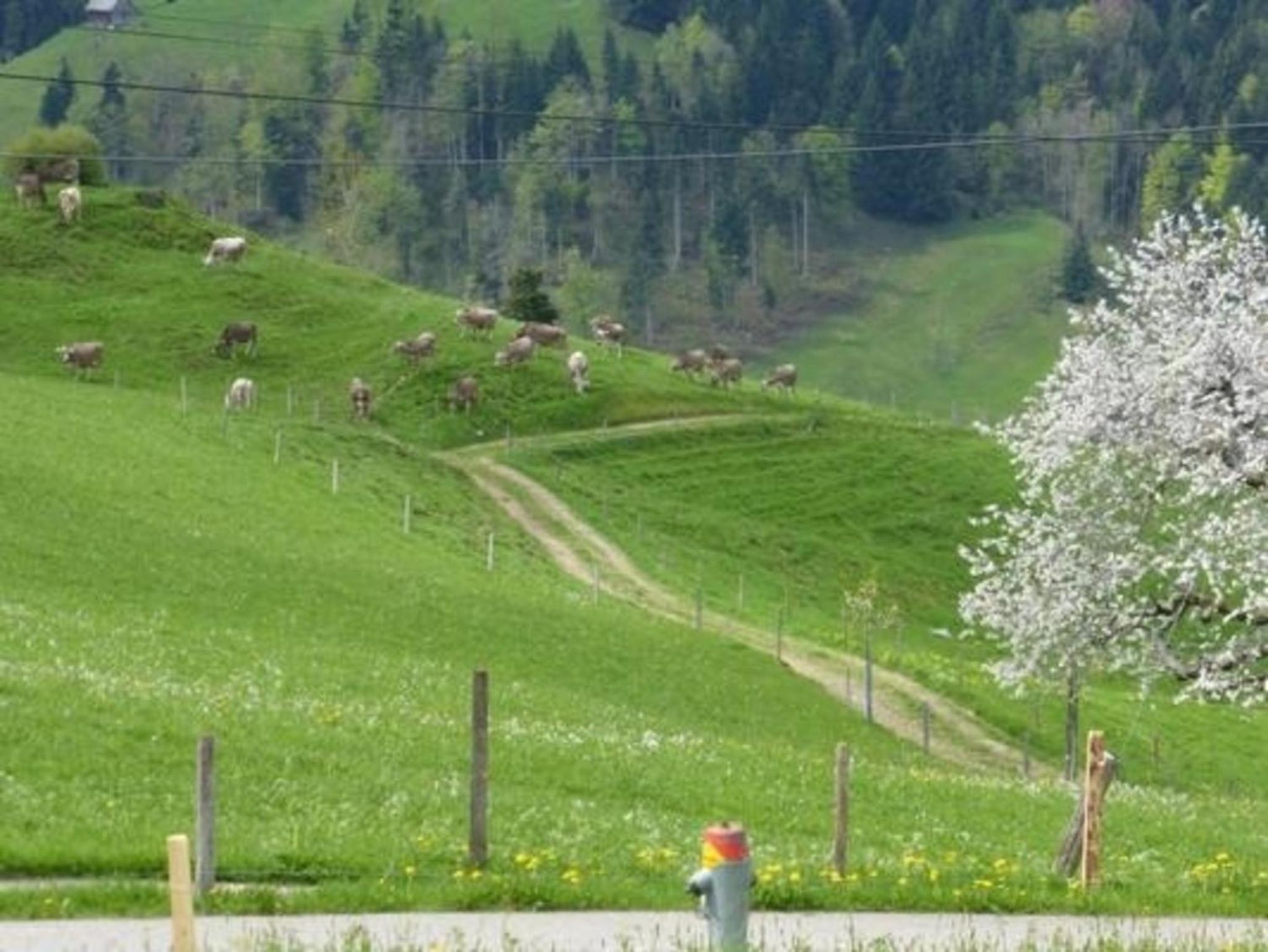 Ferienhof-Barenegg