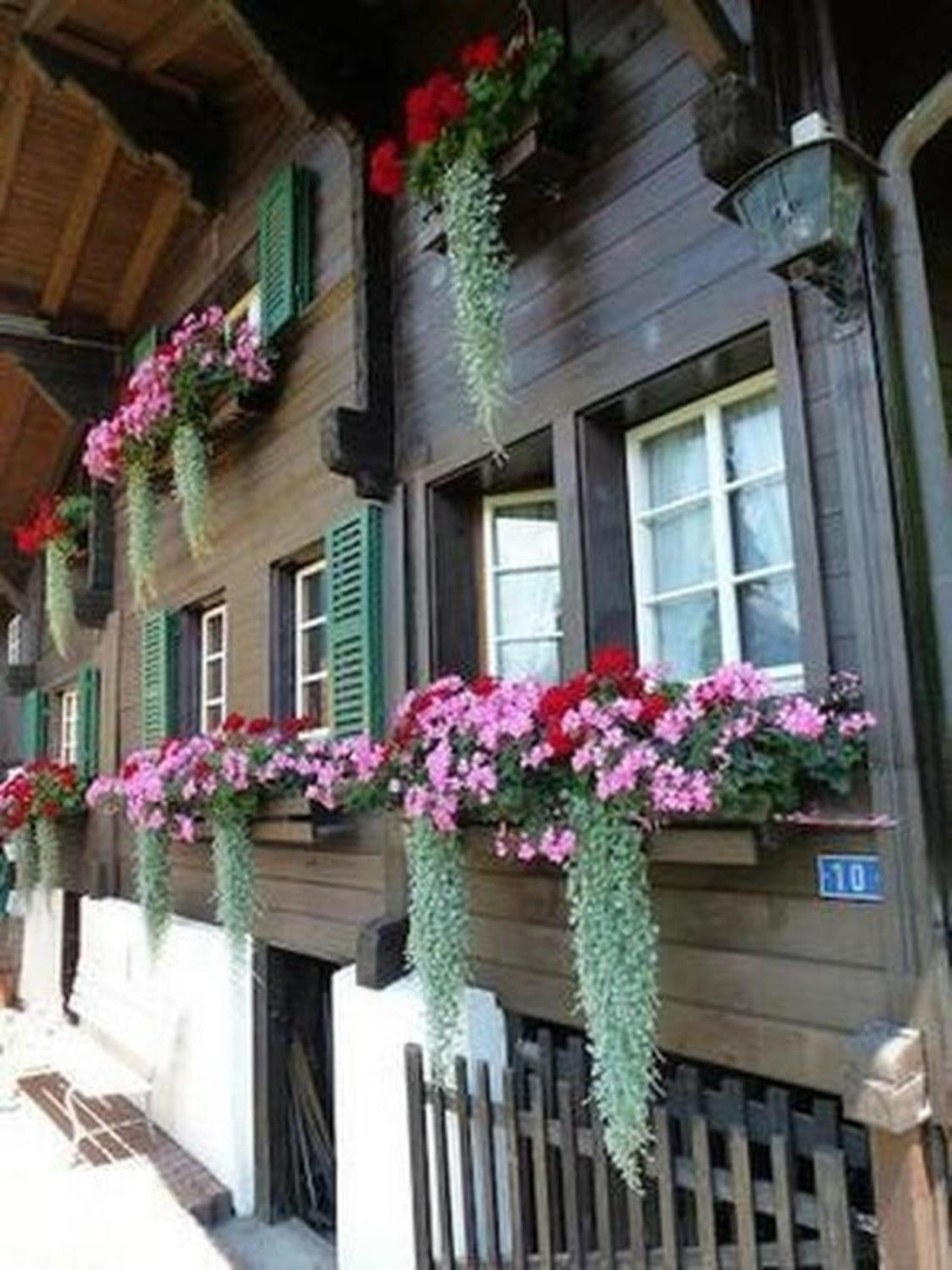 Chalet Flädermuus