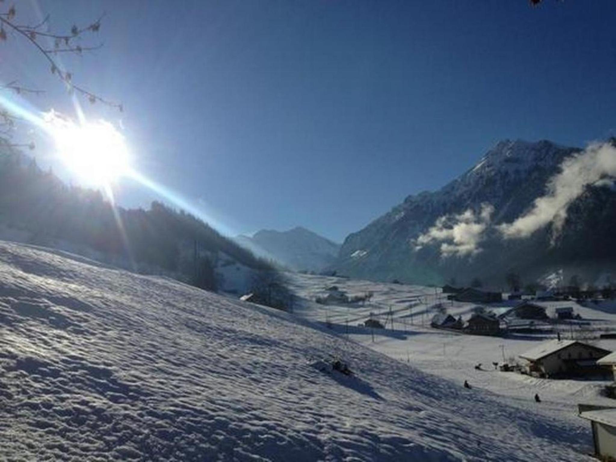 Chalet Flädermuus