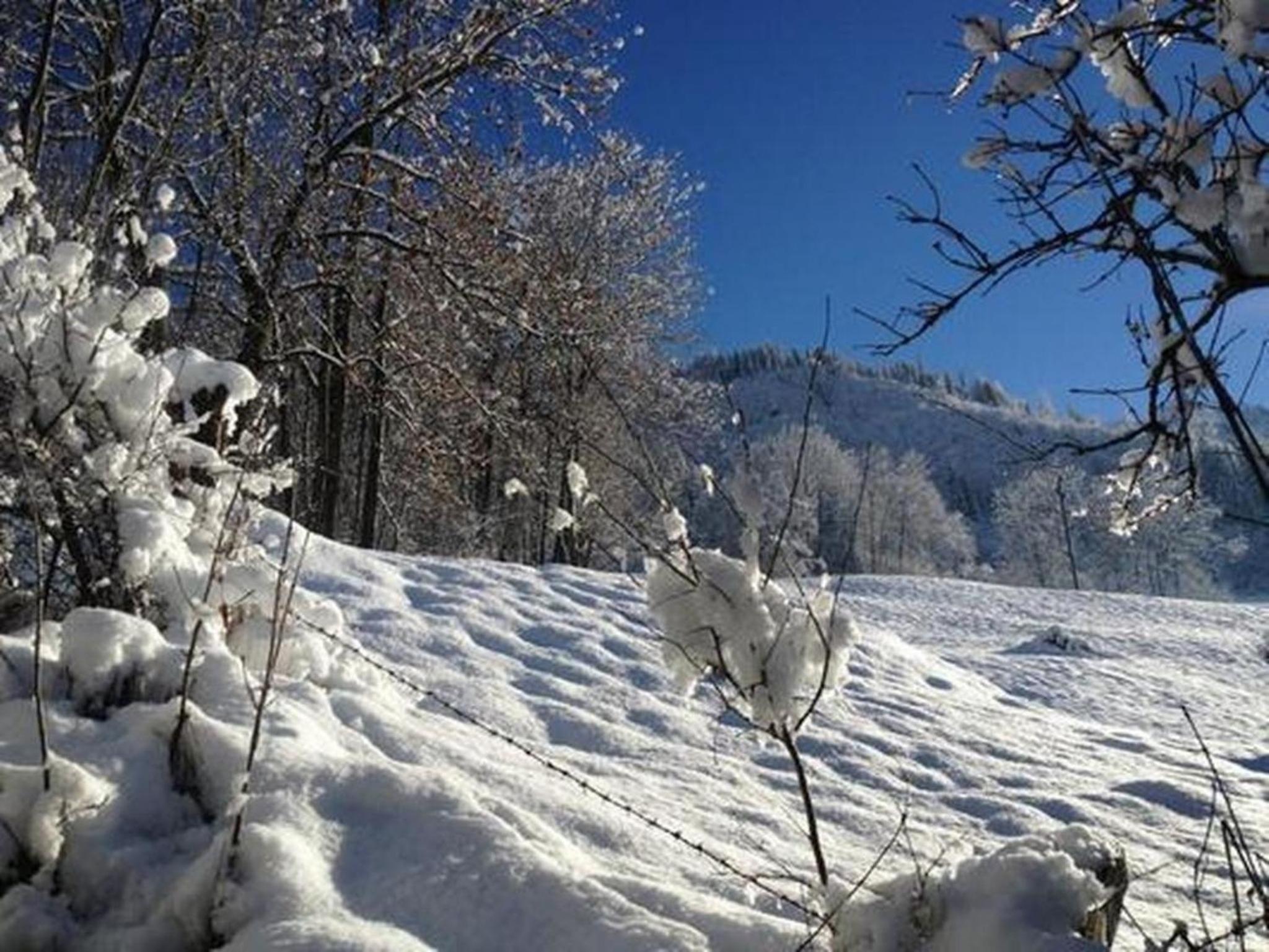 Chalet Flädermuus