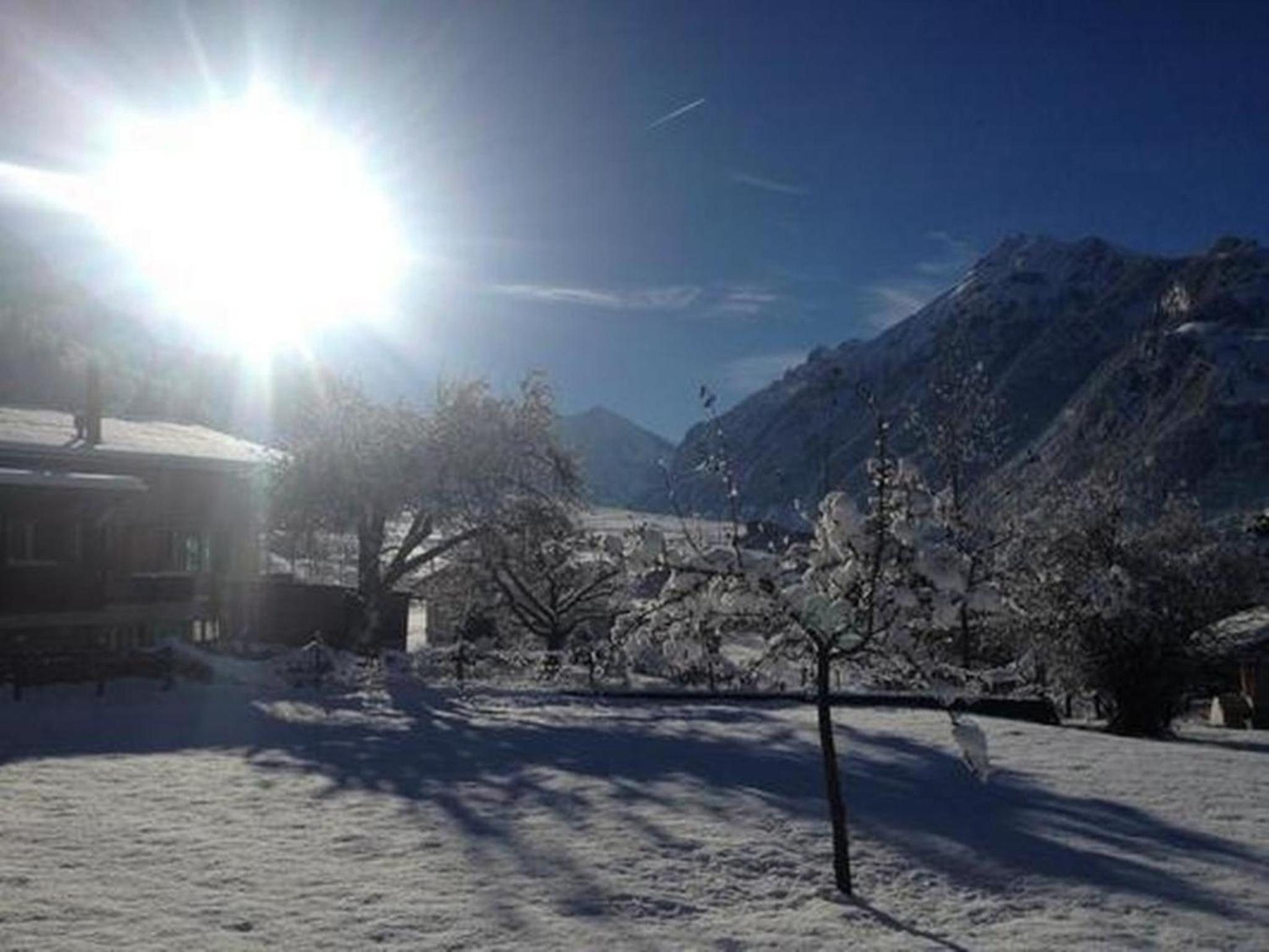 Chalet Flädermuus