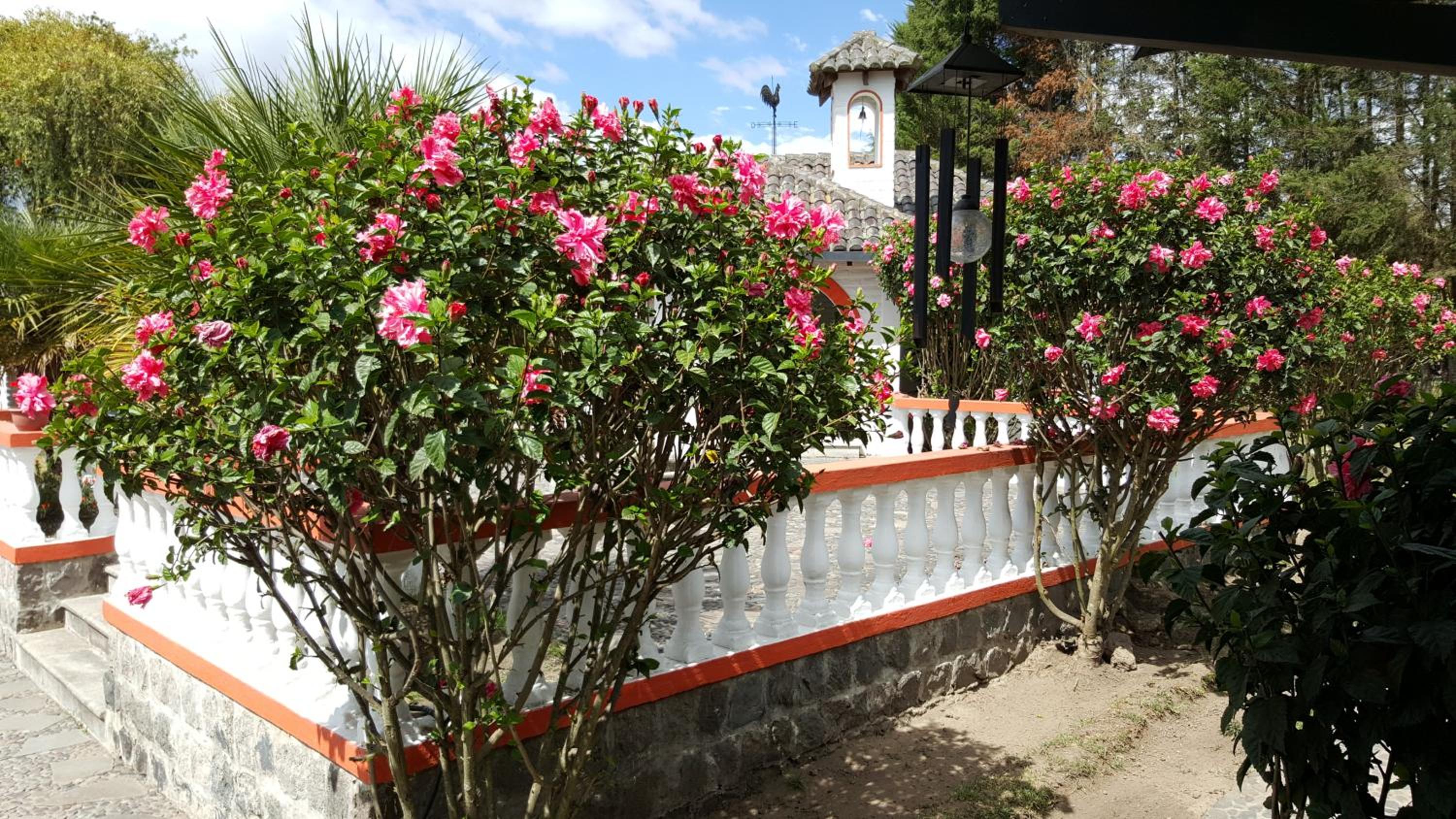 Hosteria San Carlos Tababela
