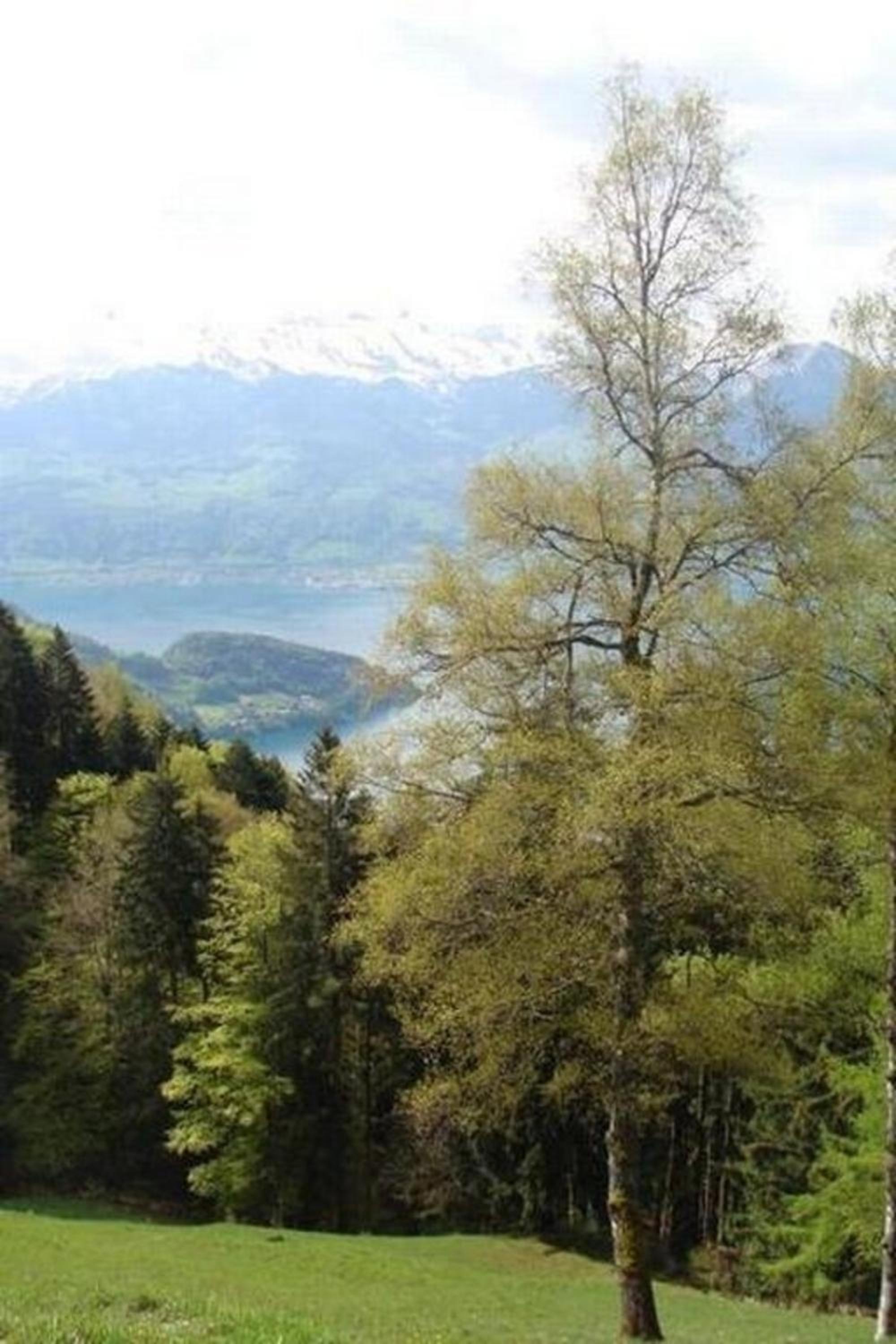 Mountain Nature Stay
