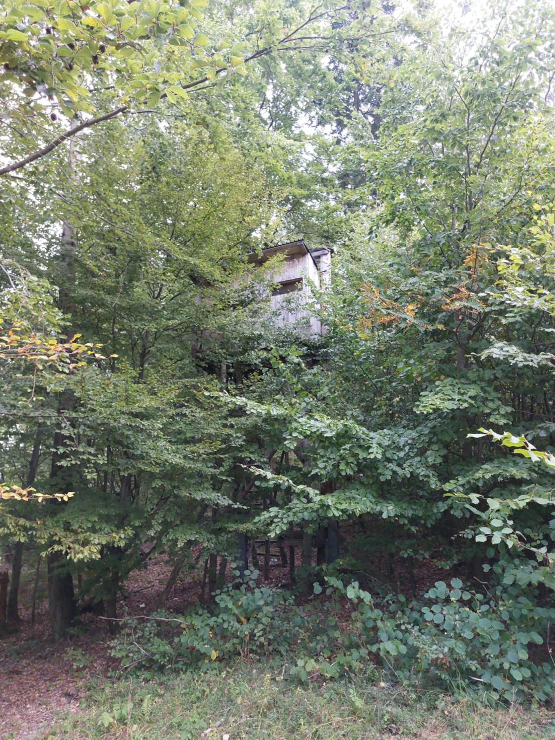 Photo 6