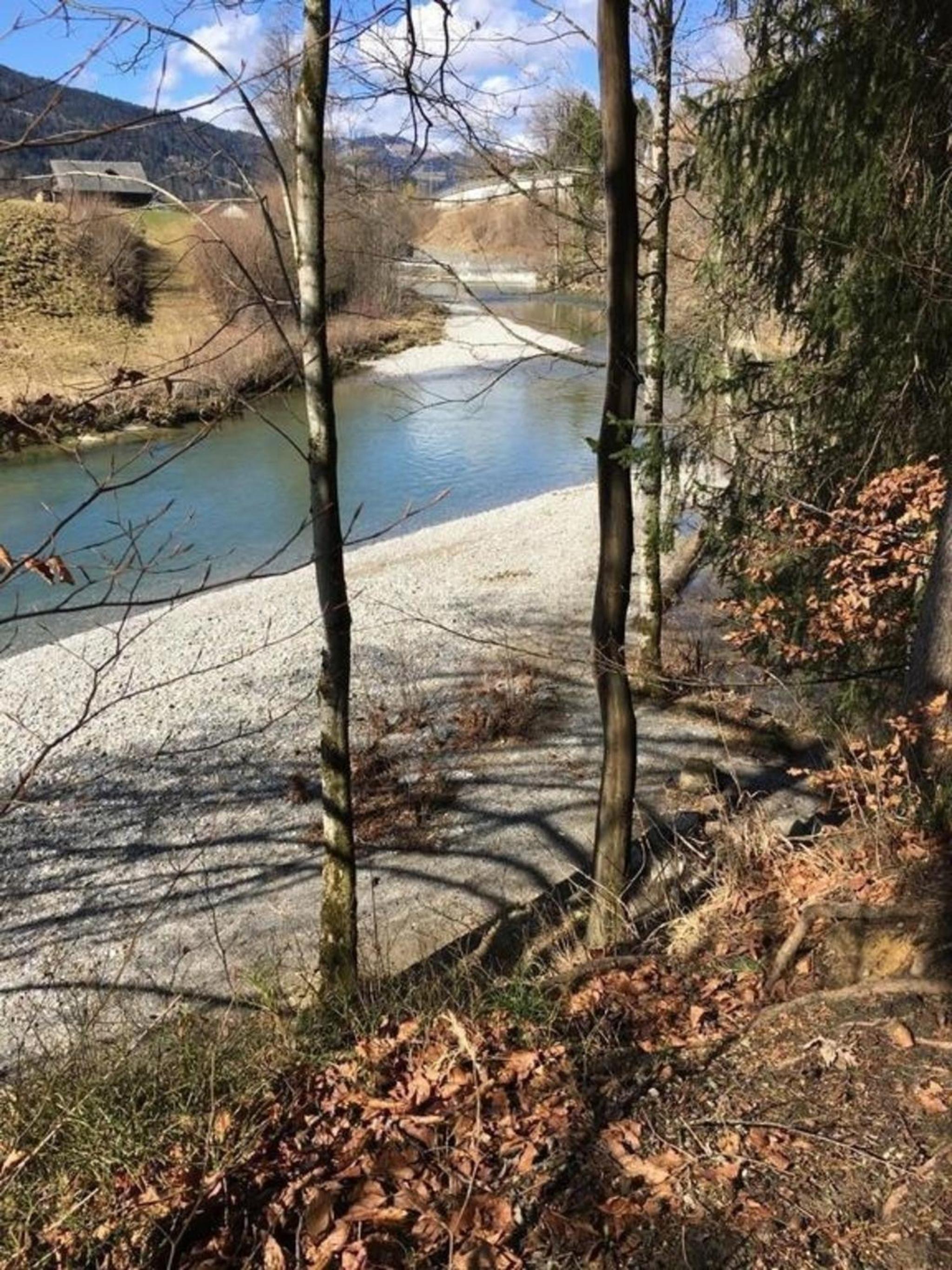 Brandholz