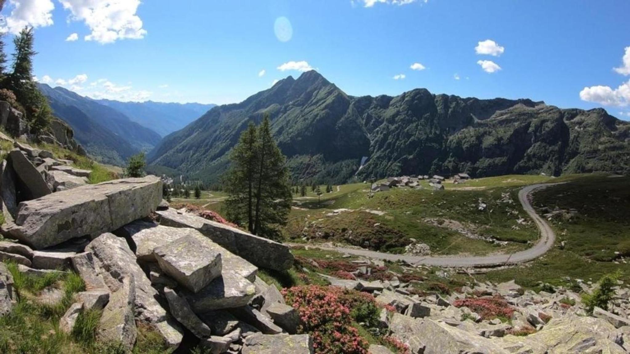Rustico