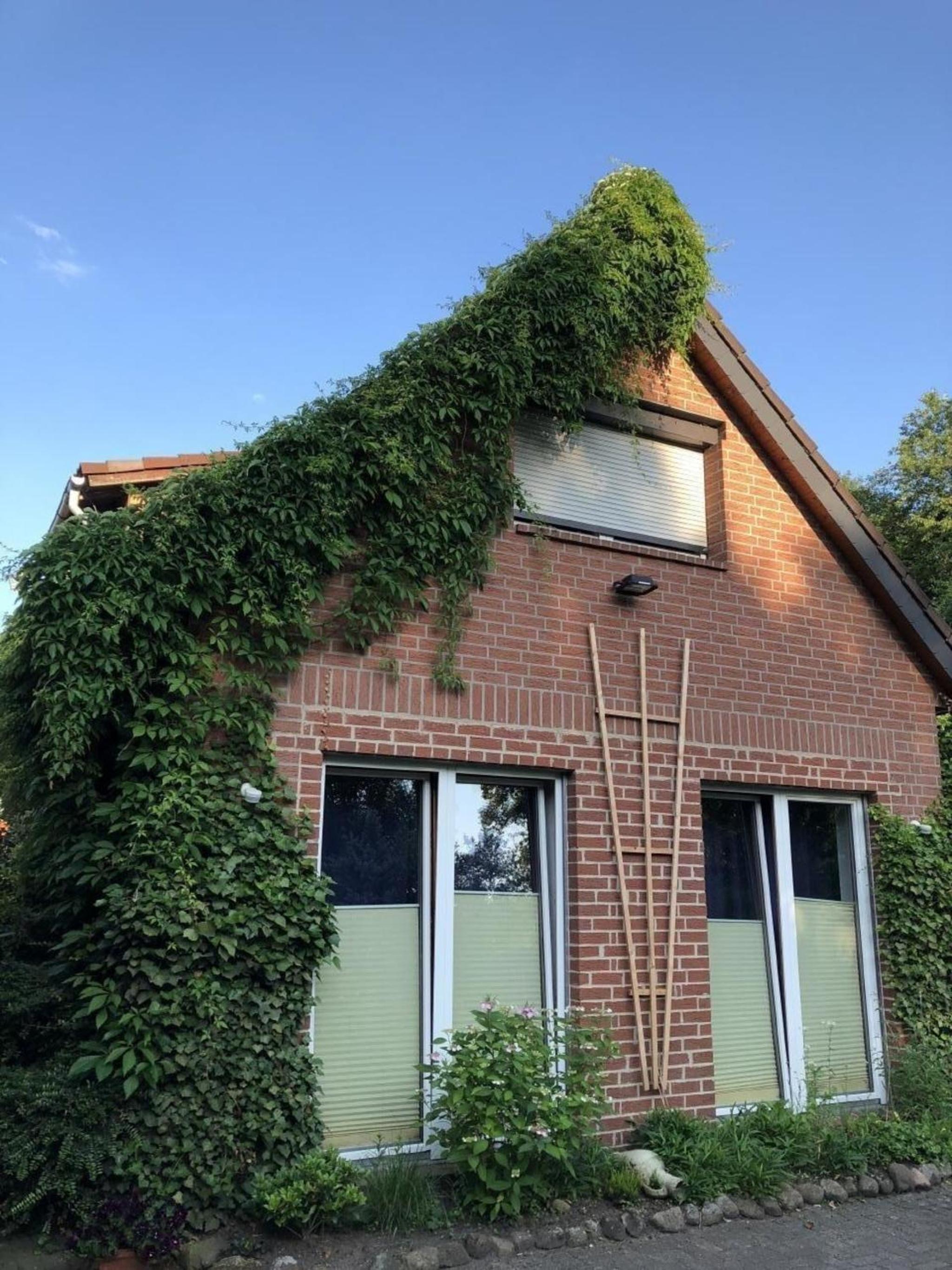 Schöne Wohnung in Widukindland mit Grill, Garten und Terrasse