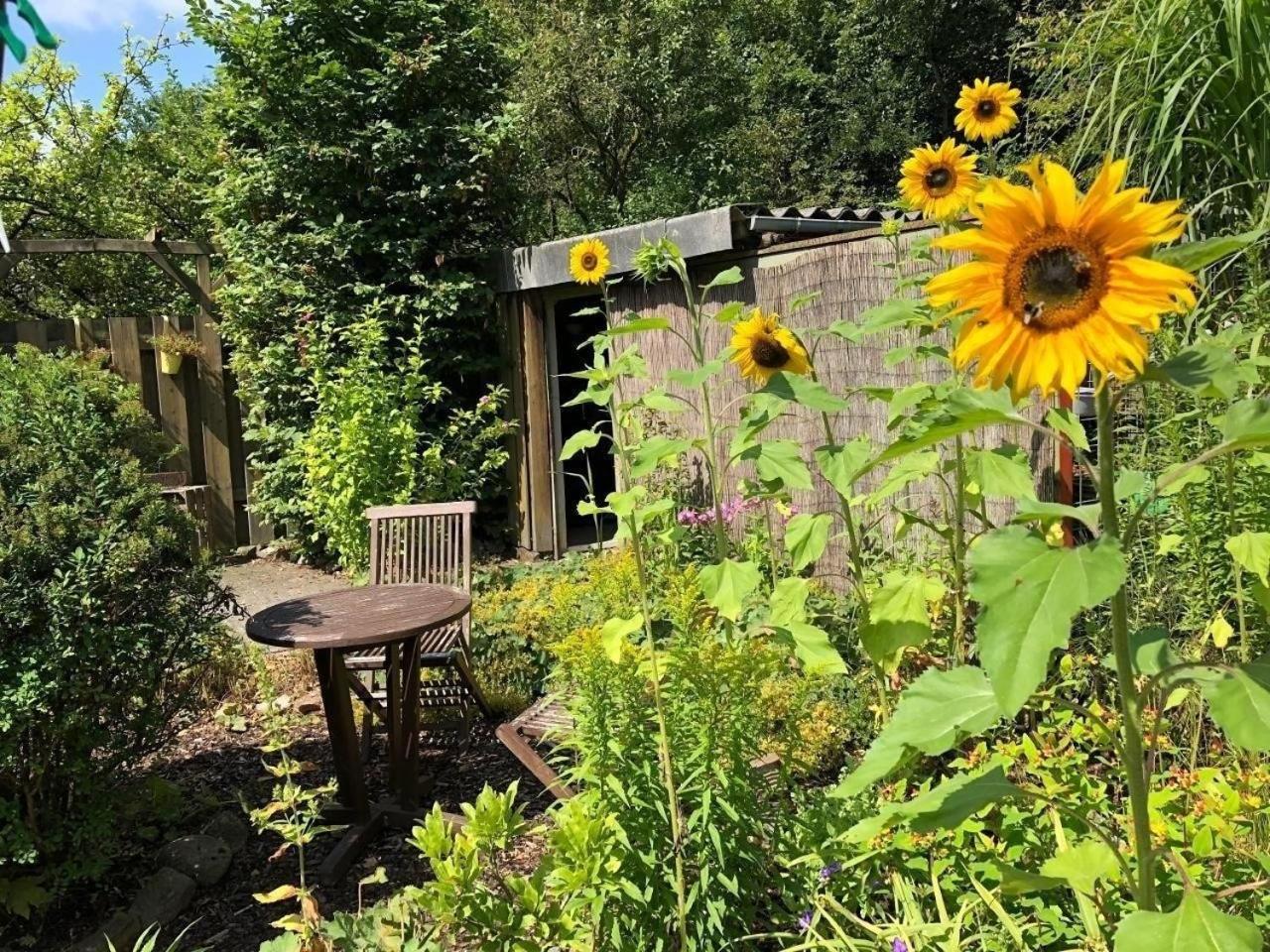 Schöne Wohnung in Widukindland mit Grill, Garten und Terrasse