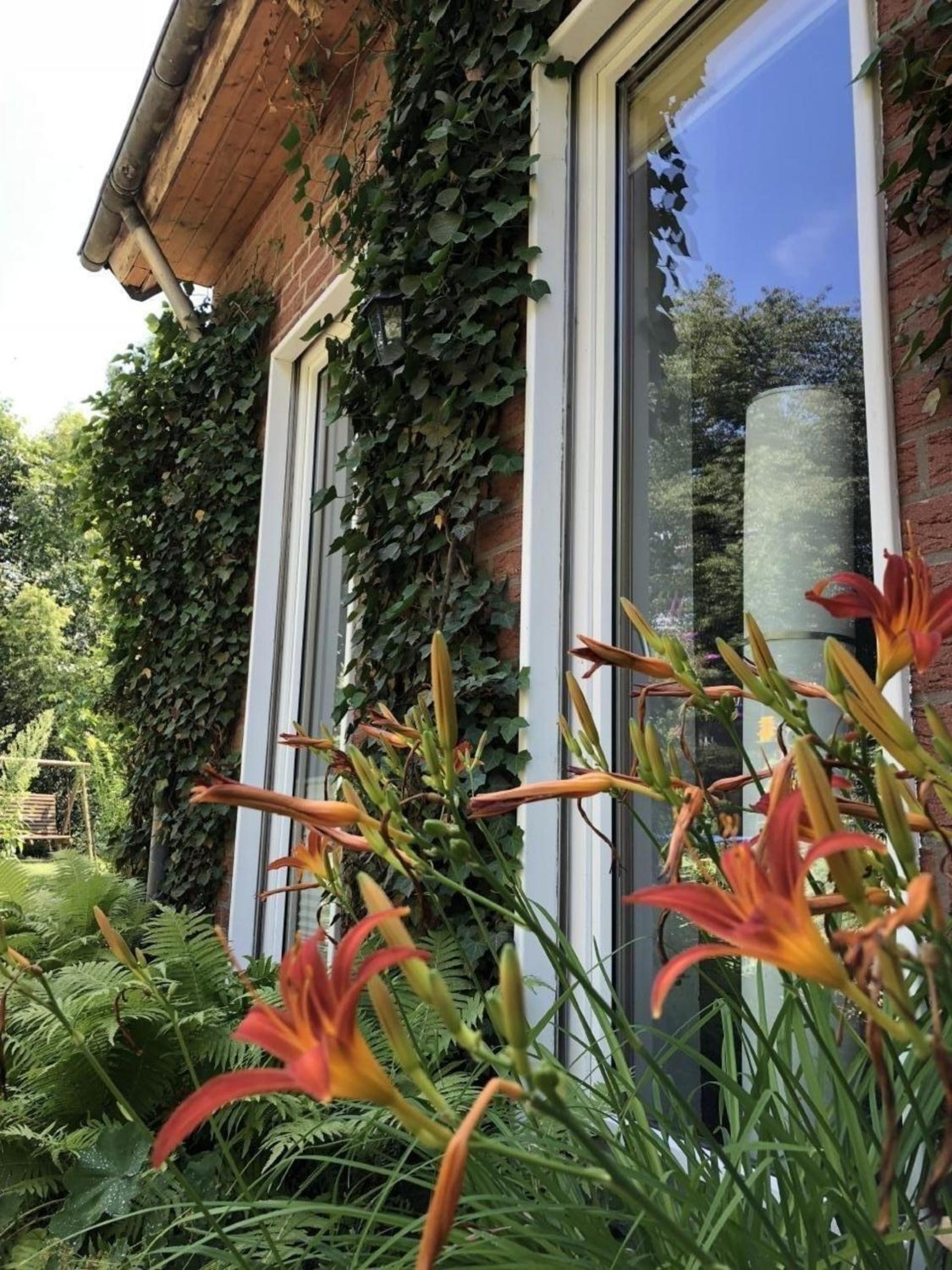 Schöne Wohnung in Widukindland mit Grill, Garten und Terrasse