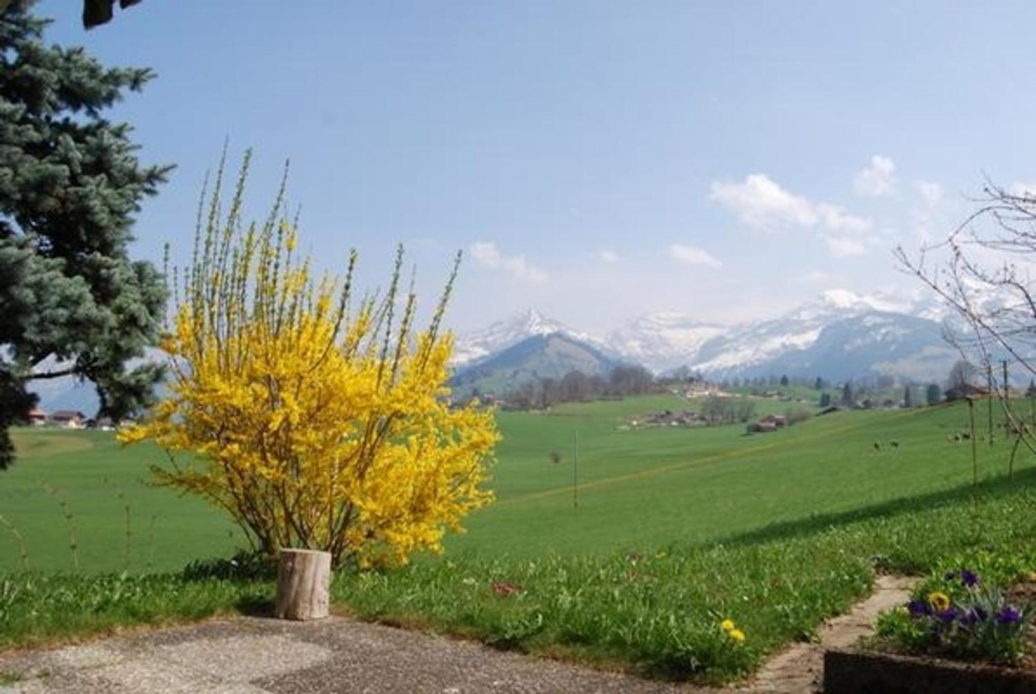 Chalet Alouette