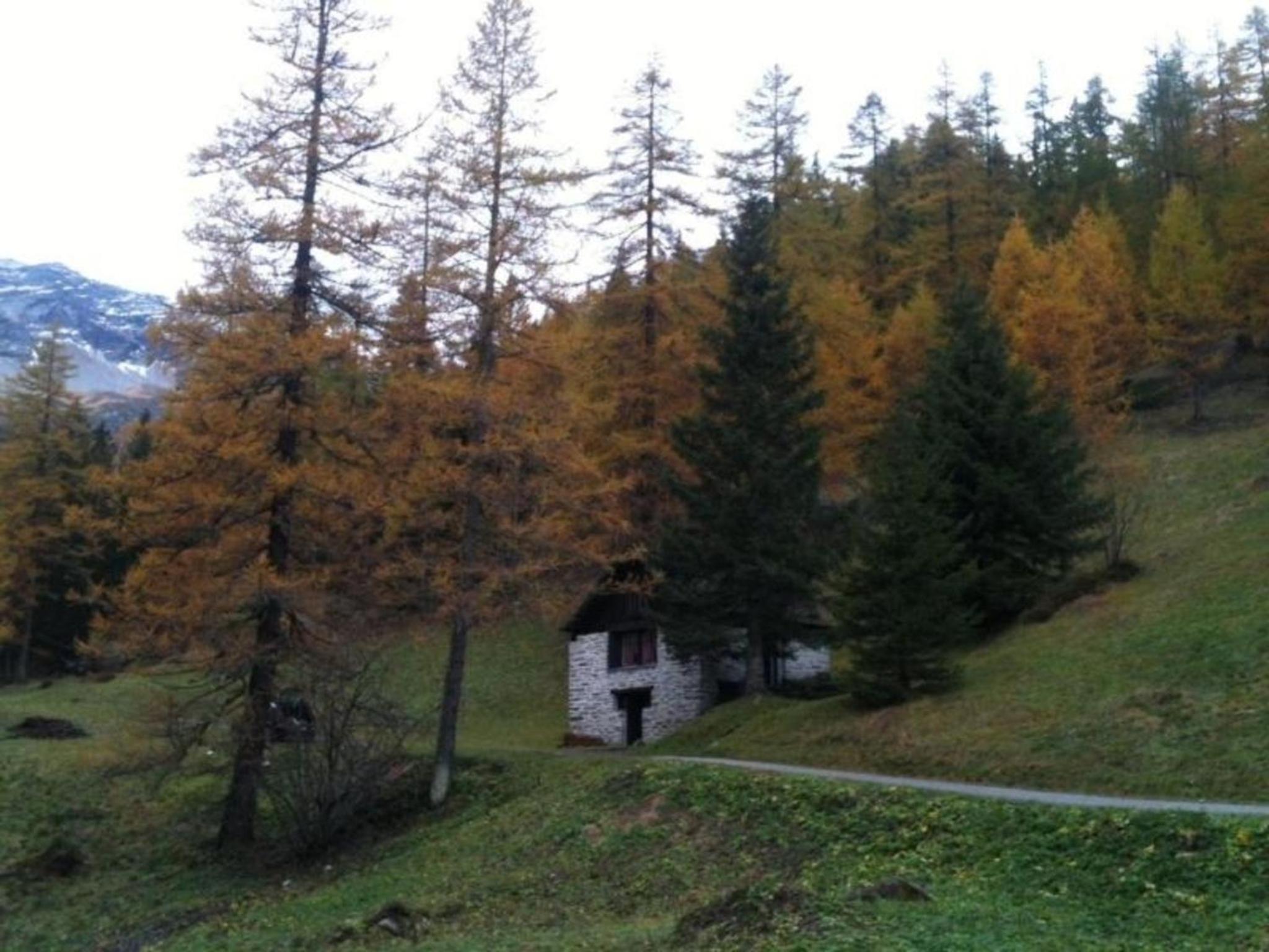 Rustico Bersacola