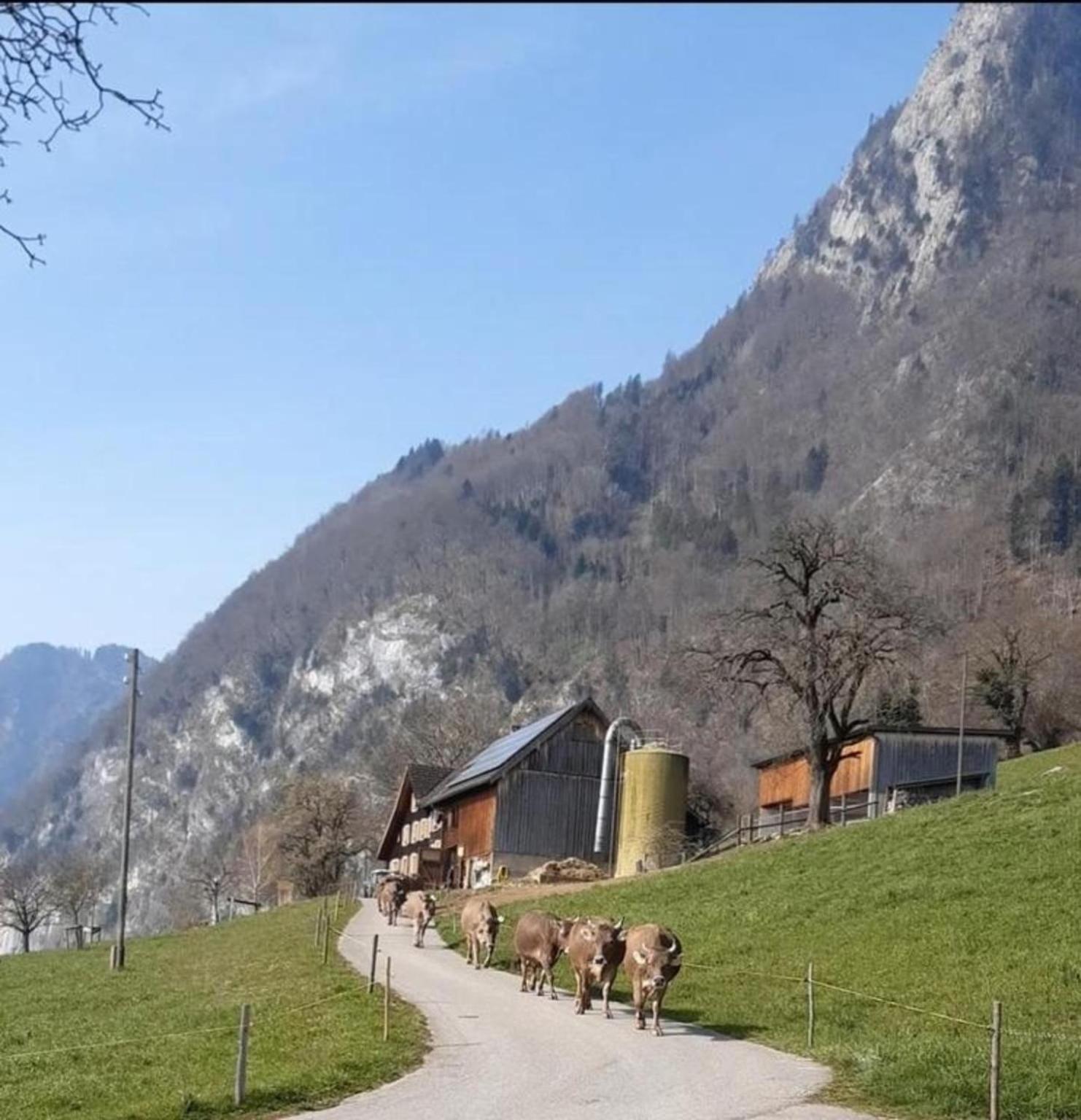 Löhli Hof
